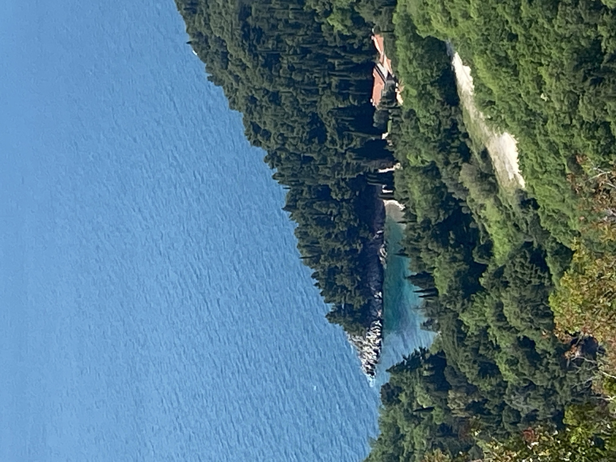 This media file is an aerial or high-angle landscape photograph showcasing a vibrant coastal scene, consistent with the location of Sveti Stefan, Montenegro. The image is oriented vertically but depicts a horizontal vista.
The primary subjects are a large body of clear blue water on the left side, and a densely forested coastline on the right. The water exhibits subtle ripples across its surface, suggesting either gentle breezes or distant movement. Along the coastline, verdant green trees, likely Mediterranean pines and other foliage, cover the land extensively, stretching from the water's edge up steep slopes.
Notable details within the forested land include:
* A small, light-colored sandy or rocky beach nestled into a cove, where the water appears a lighter, almost turquoise hue, indicating shallower depths.
* Further along the forested coast, a building with distinctive terracotta-colored tiled roofs and light-colored walls is visible, partially obscured by the trees.
* A winding, light-colored path or road can be seen cutting through the dense greenery on the upper right portion of the land.
There are no people or explicit activities depicted; the scene is a serene natural landscape. The lighting suggests it is daytime, likely mid-morning or afternoon, with clear skies illuminating the scene evenly. No visible text is present in the image.