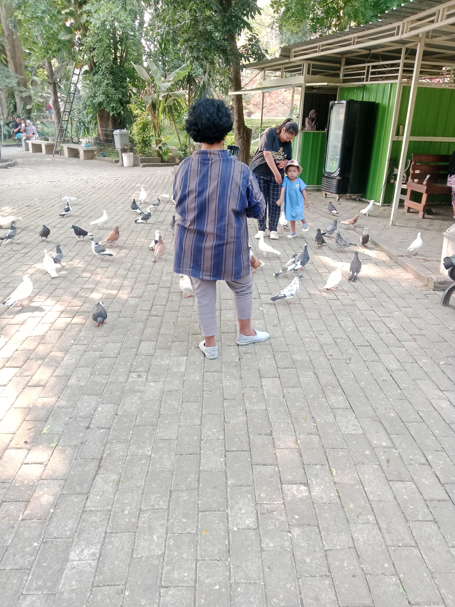 Memory