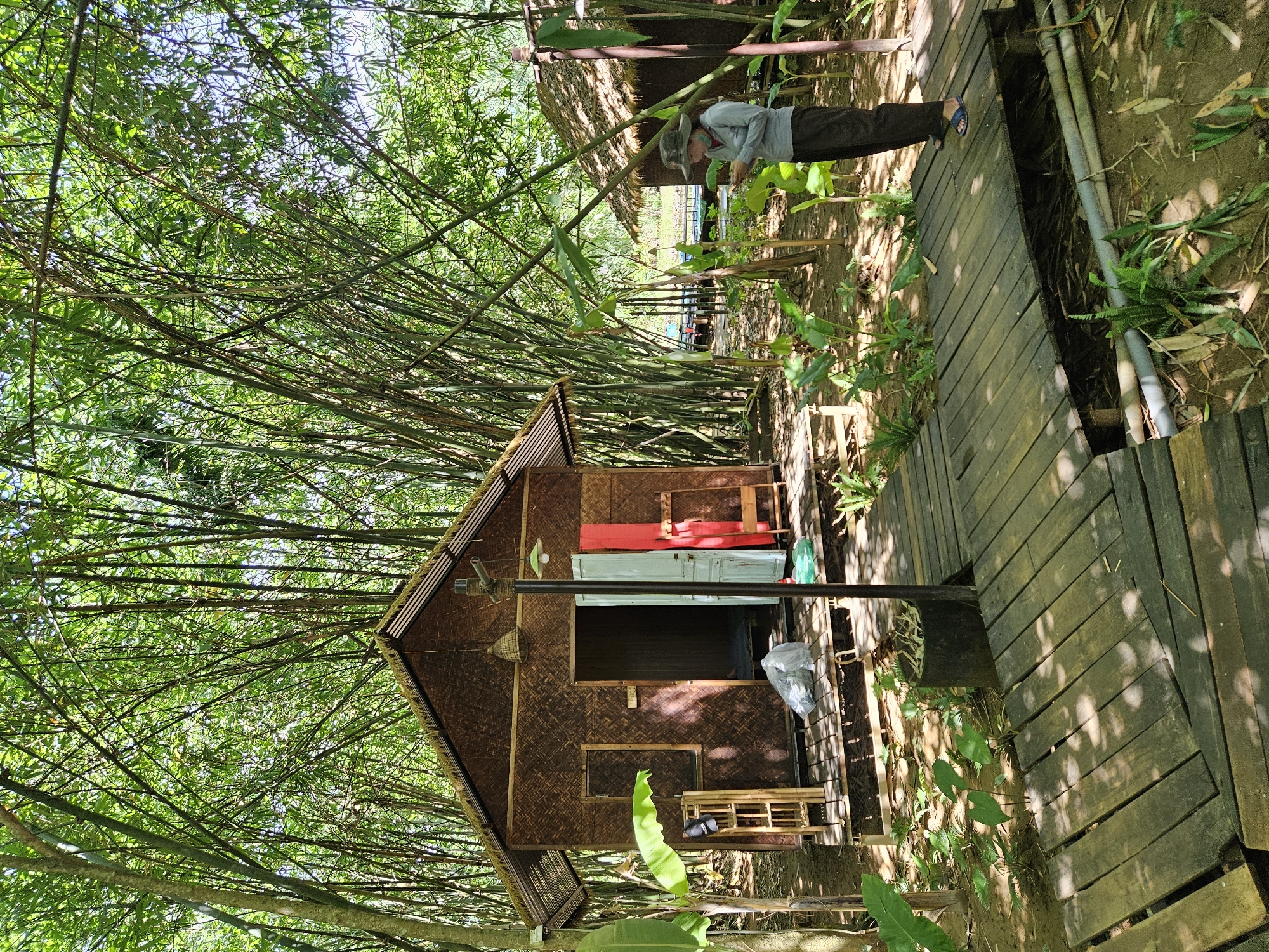 A person wearing a wide-brimmed hat, a grey long-sleeved shirt, dark pants, and blue sandals stands on a wooden walkway in a densely vegetated area. They are looking down at a mobile phone in their hands. The walkway is made of weathered wooden planks and curves to the right. To the left of the walkway is a small, rustic hut constructed from bamboo and thatch, with an open doorway revealing the interior. A shelf unit made of bamboo stands next to the hut, and a large green leaf plant grows to the left of the hut's entrance. To the right of the walkway, further into the vegetation, is another similar hut, partially obscured. The environment is lush with numerous tall bamboo stalks and green foliage, suggesting a natural, possibly rural or eco-tourism setting. The lighting indicates it is daytime, with dappled sunlight filtering through the bamboo canopy. This scene is likely located in a natural area outside of the city center of Đà Nẵng, Vietnam, possibly a resort or a quiet retreat focused on nature.