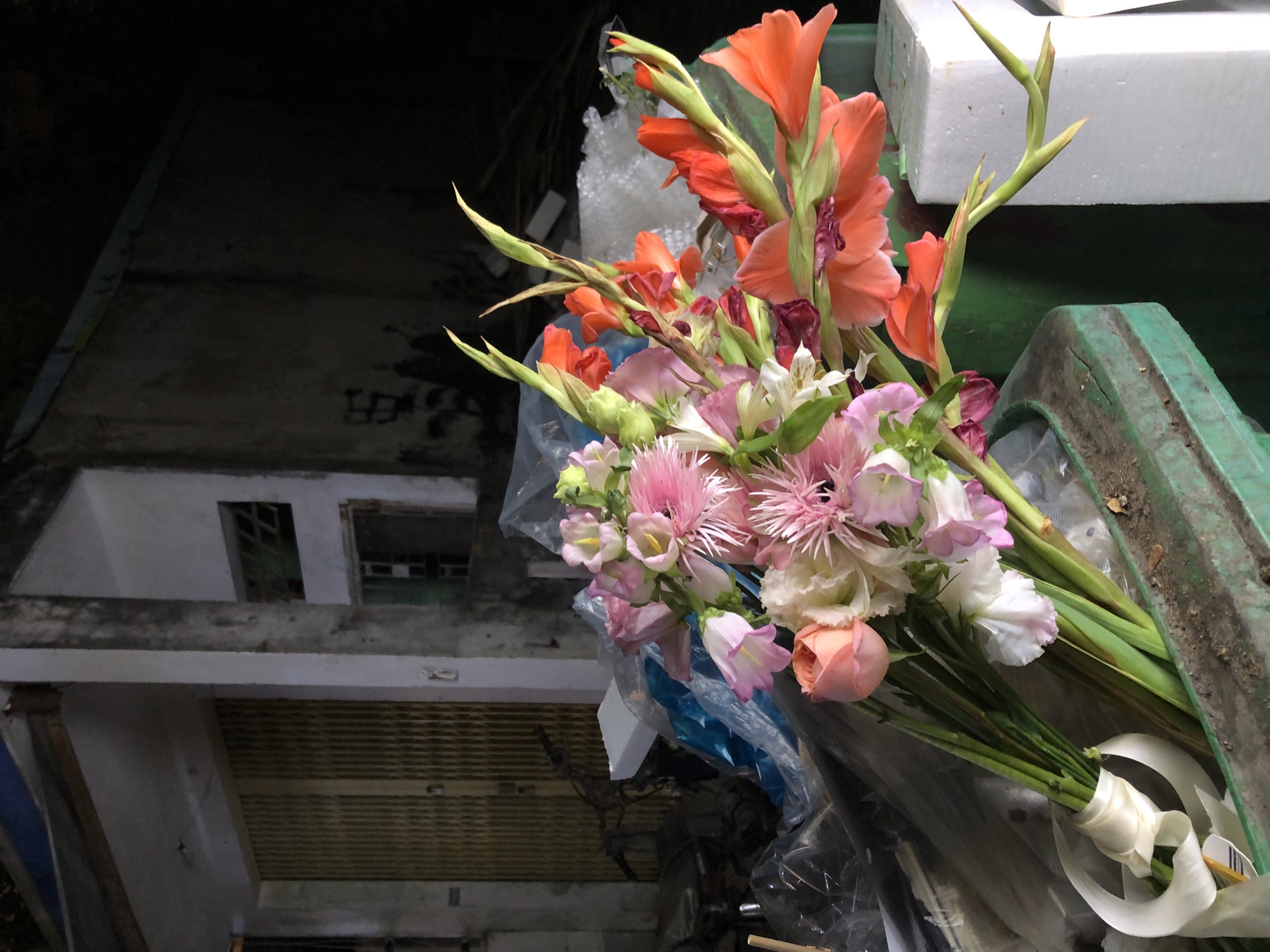 The media file shows a close-up of a bouquet of flowers, primarily gladiolus and other mixed blooms in shades of orange, pink, and white. The flowers are arranged with green stems and leaves, tied with a cream-colored ribbon. They appear to be wrapped in clear plastic. The bouquet is placed in what looks like a green, weathered container, possibly a bin or a truck bed, with some dirt and debris visible on the surface.
In the background, the setting is somewhat obscured by darkness and a focus on the flowers. However, partially visible elements suggest an outdoor environment, possibly a street or an informal market area. There are hints of concrete structures and possibly some corrugated metal surfaces, indicating an urban or semi-urban setting. The lighting suggests it could be late afternoon or early evening, with soft light illuminating the flowers. The overall impression is one of a candid, perhaps discarded, arrangement, hinting at a moment captured in passing. No text is visible in the image. The location context of Đà Nẵng, Vietnam, might imply a street vendor or a floral arrangement awaiting collection or delivery.