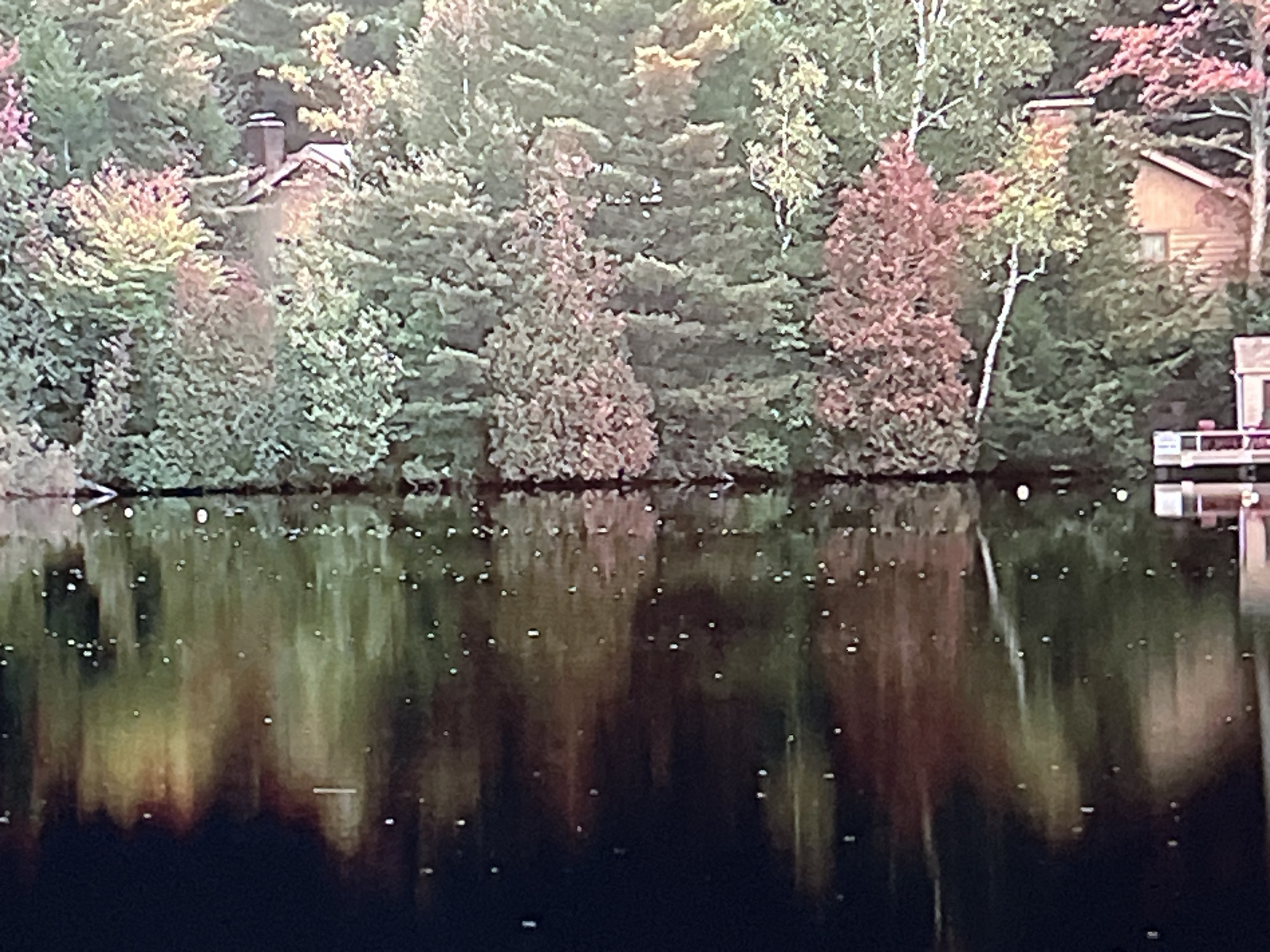 The image depicts a natural landscape scene at the edge of a body of water, likely a lake or river, with a dense forest in the background. The trees are a mix of evergreen and deciduous, with some showing autumnal colors of red and yellow amidst the green. A portion of a building, possibly a house or cabin with a chimney, is visible nestled within the trees. The water's surface is calm, reflecting the trees and sky, creating a dappled effect with light spots scattered across the reflection. The overall impression is one of a serene, natural setting, potentially a vacation spot or a quiet rural area. There is no indication of the image being located in Stara Zagora, Bulgaria.