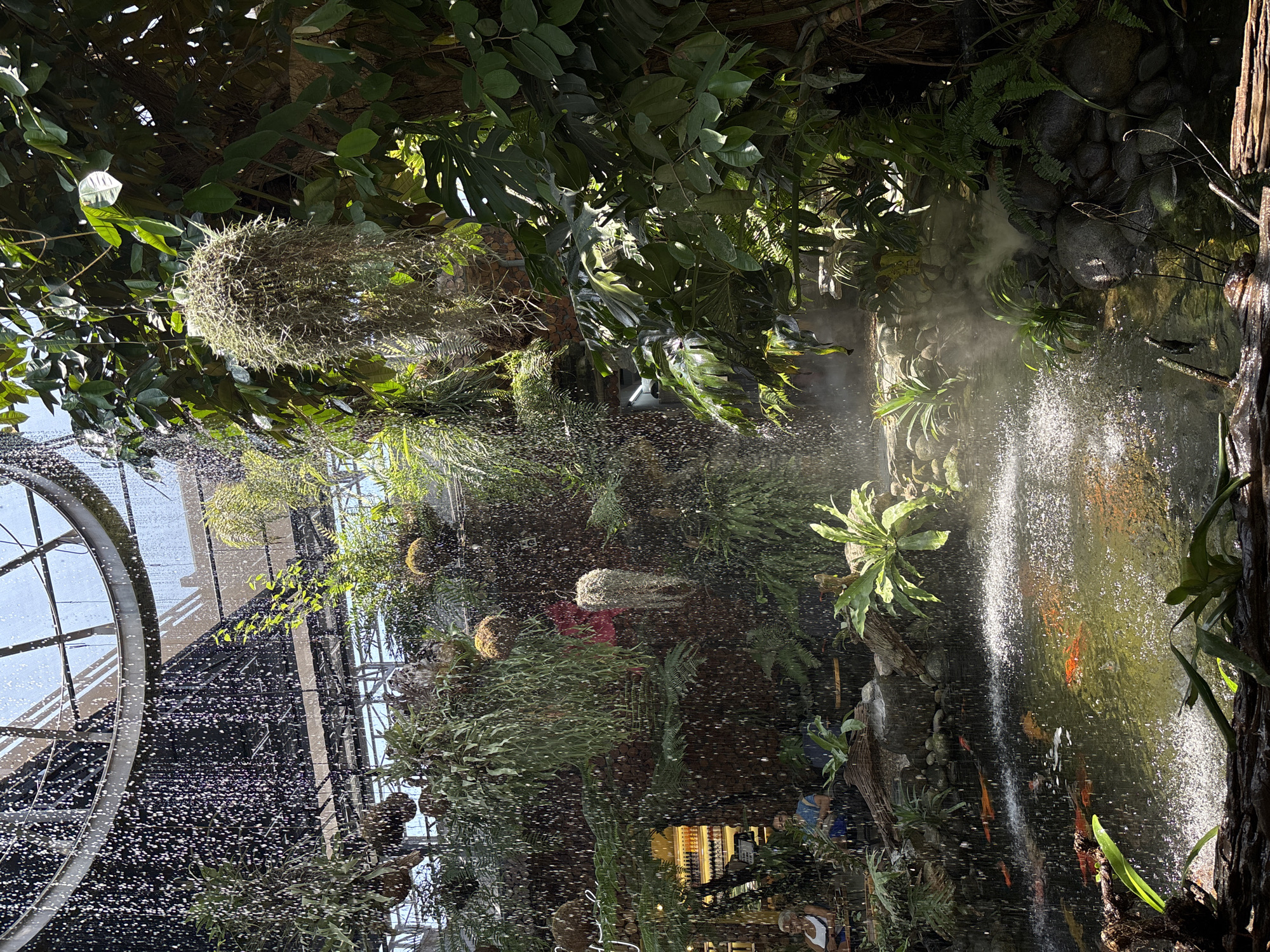 The image depicts an indoor tropical garden scene, possibly within the Bà Nà Hills complex near Đà Nẵng, Vietnam. A waterfall feature is visible, cascading into a pond containing koi fish. Various tropical plants, including ferns and moss-covered orbs, are densely arranged throughout the space. A circular metal structure, likely part of the building's architecture, is visible on the left. Fine water droplets fill the air, creating a misty atmosphere. People are present, though their details are obscured by the water and foliage. The overall impression is one of a humid, lush environment within an enclosed space.