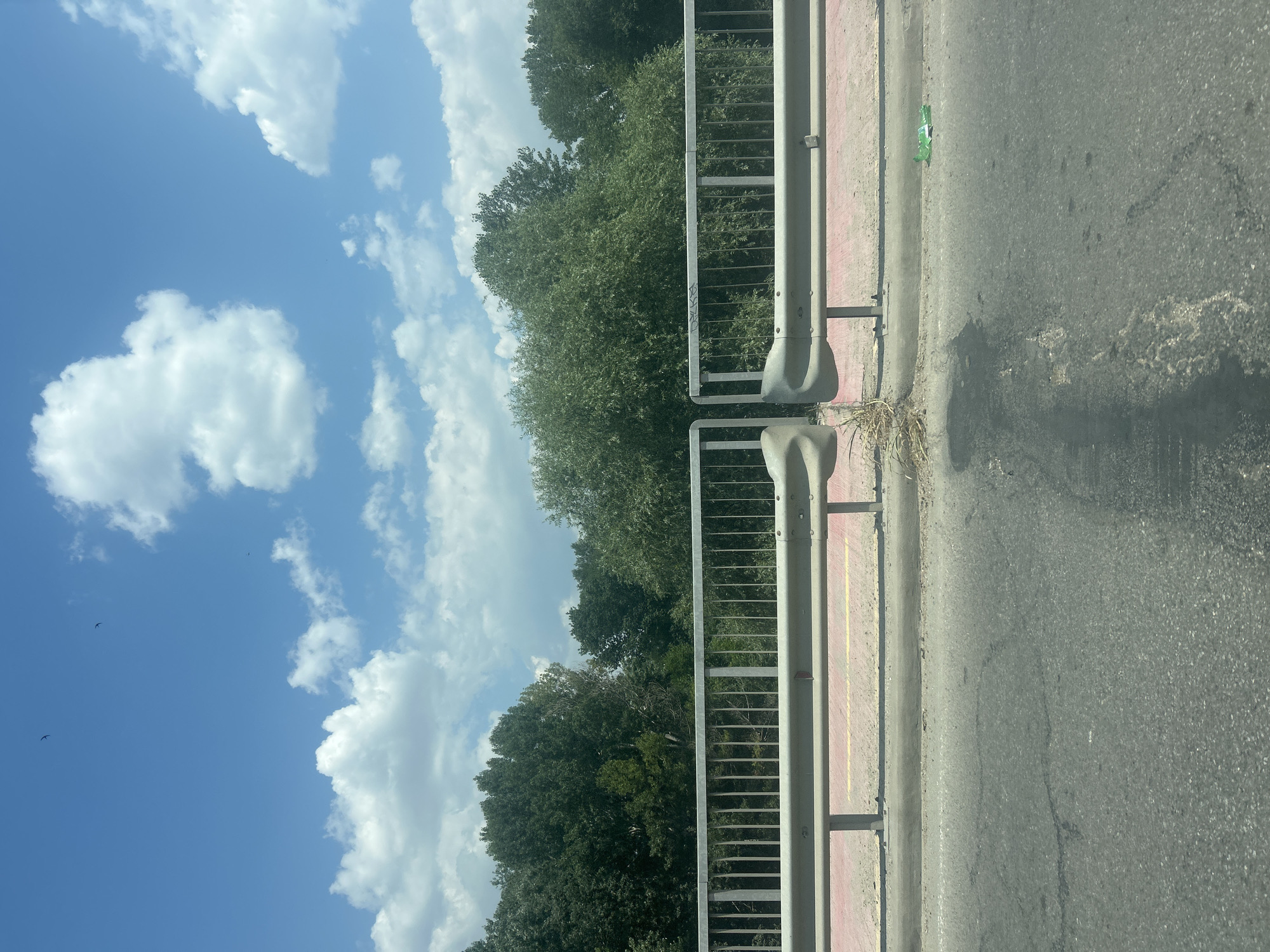 The image displays a roadside scene under a bright, partly cloudy sky. Two guardrails, constructed of metal poles and horizontal bars with a light-colored top rail, line the edge of an asphalt road. A narrow strip of pink pavement is visible between the road and the guardrail, with a yellow line running along its edge in the lower right portion of the image. Green trees with dense foliage form a backdrop behind the guardrails, suggesting a natural or park-like setting.
In the sky, fluffy white clouds are scattered across a clear blue expanse. Two small dark birds are visible in flight against the blue sky on the left side of the image. The lighting suggests it is daytime, likely late morning or early afternoon, with the sun casting shadows.
The roadside shows signs of wear, with some patches of dry grass and debris near the base of the guardrails and along the edge of the road. A small piece of green litter is visible on the pink pavement near the upper right corner of the guardrail. There is no discernible text in the image. The overall impression is one of a rural or suburban roadside environment on a clear day. The scene appears peaceful and uneventful, with the focus on the natural elements of sky and trees contrasting with the man-made structures of the road and guardrails.