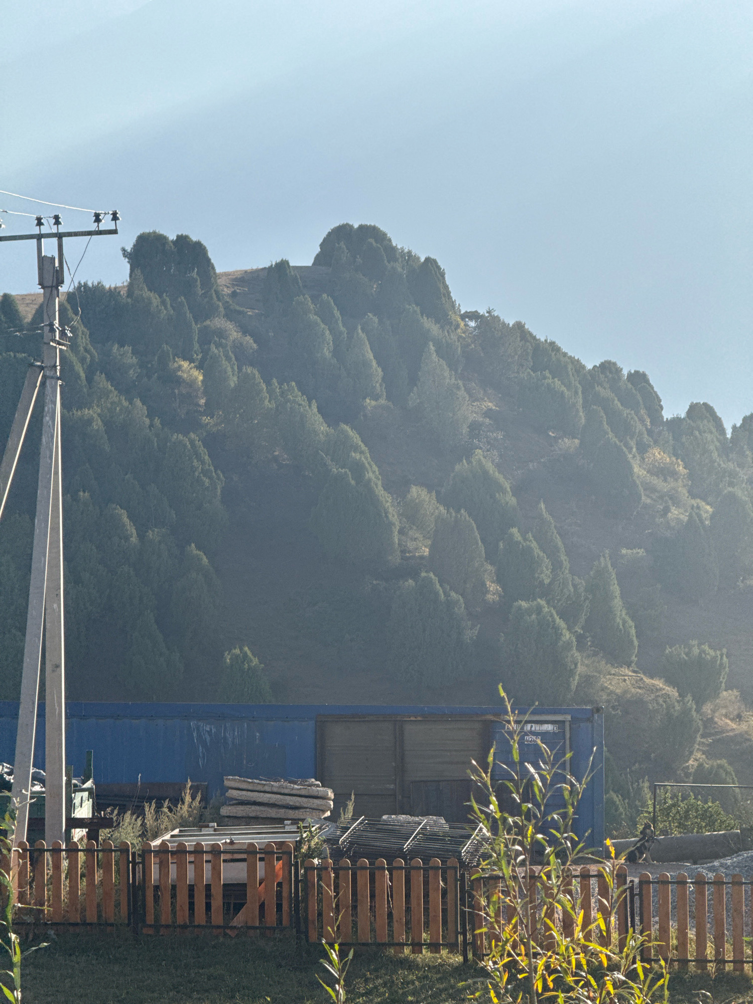 The image depicts a scenic view of a hillside covered in numerous evergreen trees, likely junipers, characteristic of the Chunkurchak area in Kyrgyzstan. In the foreground, a tall utility pole with wires is visible on the left side of the frame. Adjacent to the pole, a long, blue shipping container sits on the ground. In front of the container and utility pole is a wooden picket fence. Behind the fence, various items are visible, including stacked lumber, metal fencing materials, and what appears to be a partially constructed structure. The overall environment suggests a rural or semi-rural setting on the outskirts of a settlement, with the natural landscape of the hillside dominating the background. The sky is clear and light blue.