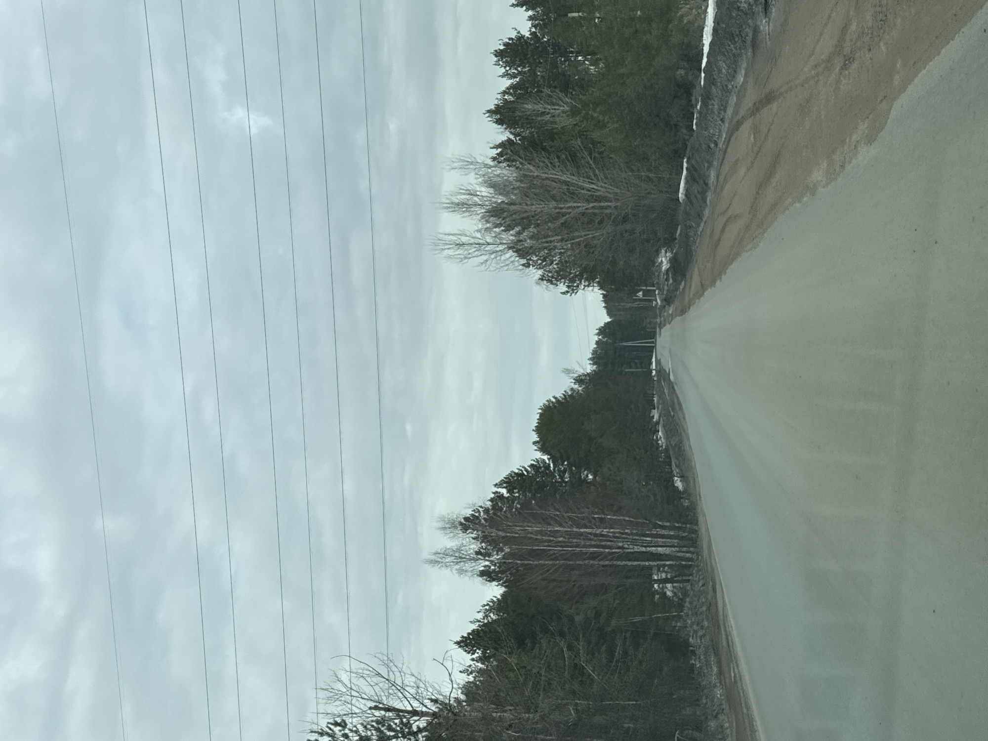 A gray road stretches through a landscape with trees on either side under a cloudy, overcast sky. Power lines run parallel to the road on the left side of the image. There is some snow present on the edge of the road, suggesting it is late winter or early spring. The trees are mostly evergreens with some deciduous trees present, bare of leaves. The location is not possible to determine from the image alone.