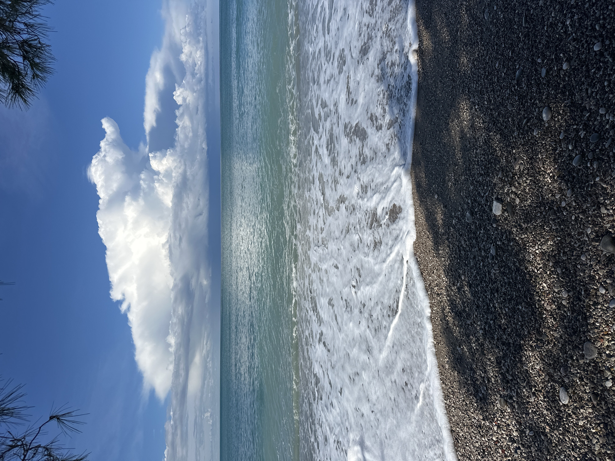 The scene depicts a coastal landscape in Šušanj, Montenegro, under a partly cloudy sky. A vast body of light turquoise-green sea water extends from the foreground to the horizon, where it meets a blue sky dominated by a large, bright white cumulus cloud formation above the central-left area. The shoreline consists of a dark pebble beach, upon which gentle waves are breaking, leaving a continuous line of white sea foam along the water's edge. Dark, elongated shadows, consistent with overhead foliage, are cast across the foreground pebbles, with pine needles visible at the extreme top-left and top-right of the frame. No individuals, animals, or man-made structures are visible.