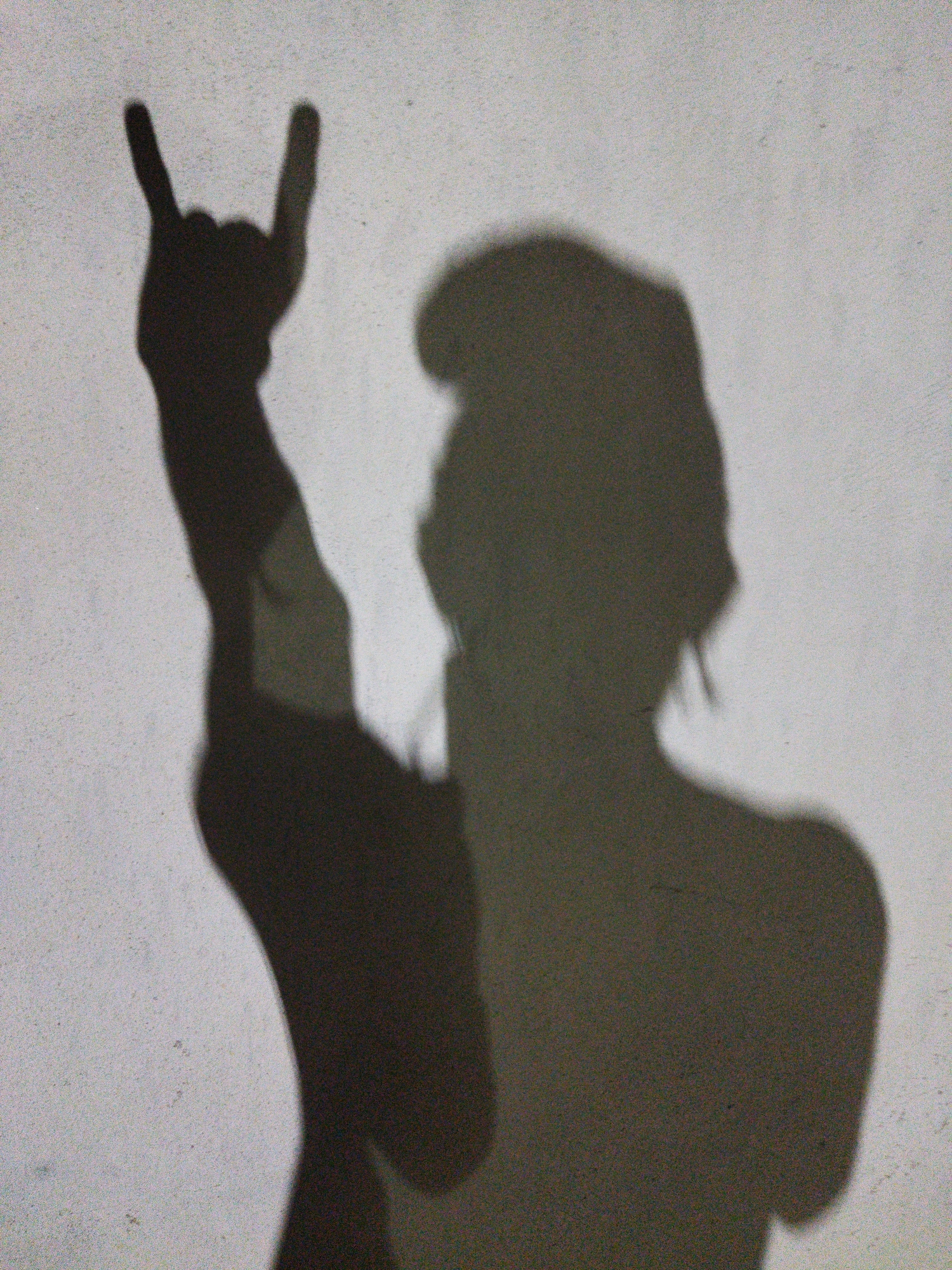 The image is a shadow of a person on a light-colored wall. The person is making a "rock on" hand gesture. The shadow depicts the person's arm raised with the index and pinky fingers extended. The shadow also reveals the person's head and partial torso.
There is no information in the image to indicate that this photo was taken in Tinaquillo, Venezuela.