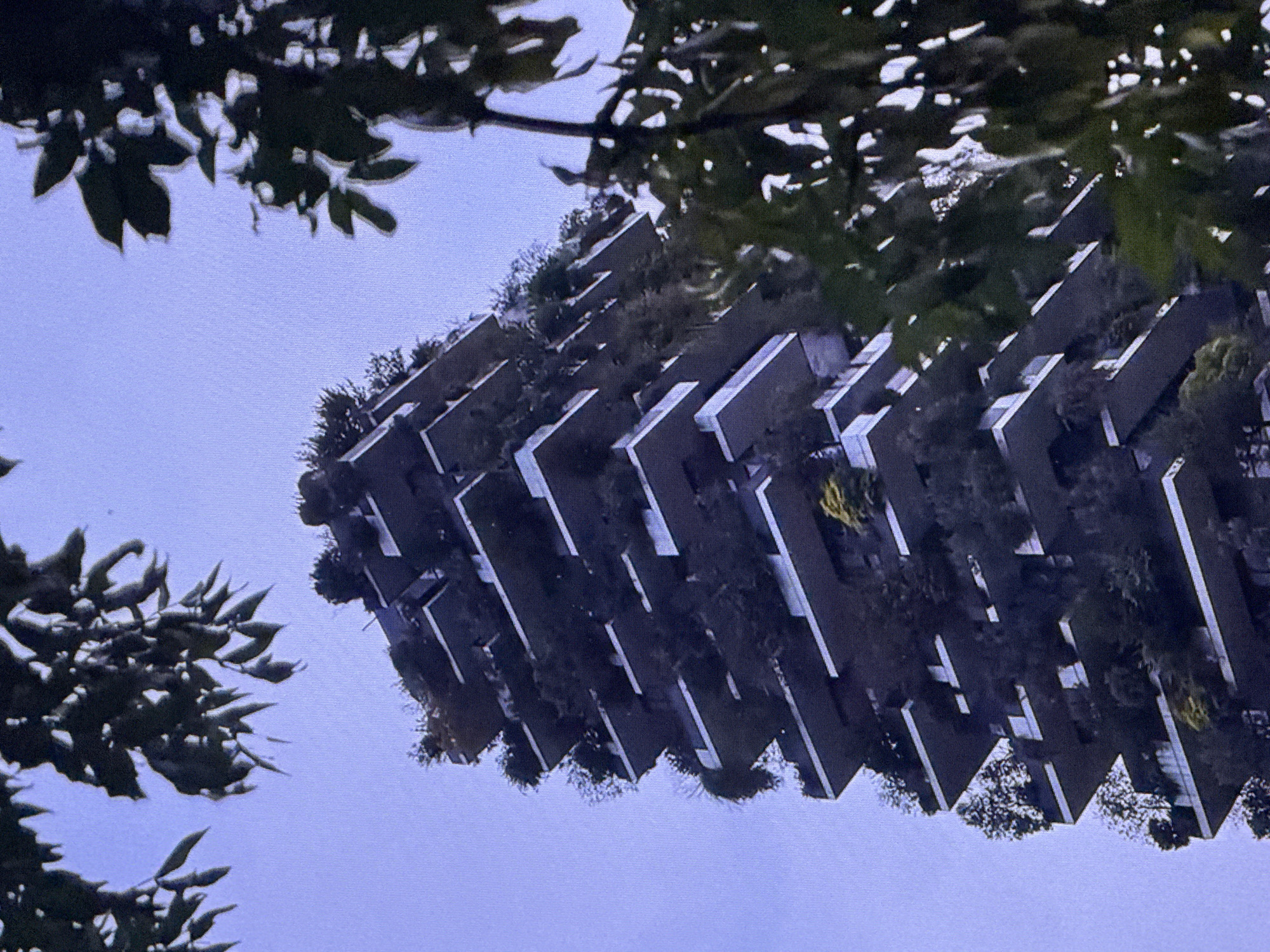 The image shows a vertical shot of a unique, modern skyscraper characterized by its cantilevered balconies filled with lush vegetation, appearing as if trees and shrubs are growing directly from the building's facade. The sky behind the building is a pale, overcast blue, and the foreground and right side of the image are partially obscured by dark green, leafy branches, suggesting the photo was taken from a natural vantage point. The skyscraper's design is a striking contrast between architecture and nature, with multiple levels of balconies projecting outwards, each adorned with various plants, creating a vertical forest effect. The building itself is a dark, contemporary structure with white railings on the balconies. The scene is devoid of any visible people. The location is identified as Dubai, United Arab Emirates.