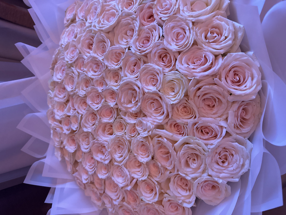 A voluminous bouquet of pale pink roses, tightly clustered together, creates a dense floral arrangement. The roses exhibit delicate petals, spiraling to form classic rose blooms. The bouquet is wrapped in layers of translucent white paper, adding a soft, ethereal touch. The background is slightly blurred, drawing focus to the abundant and romantic rose display.
