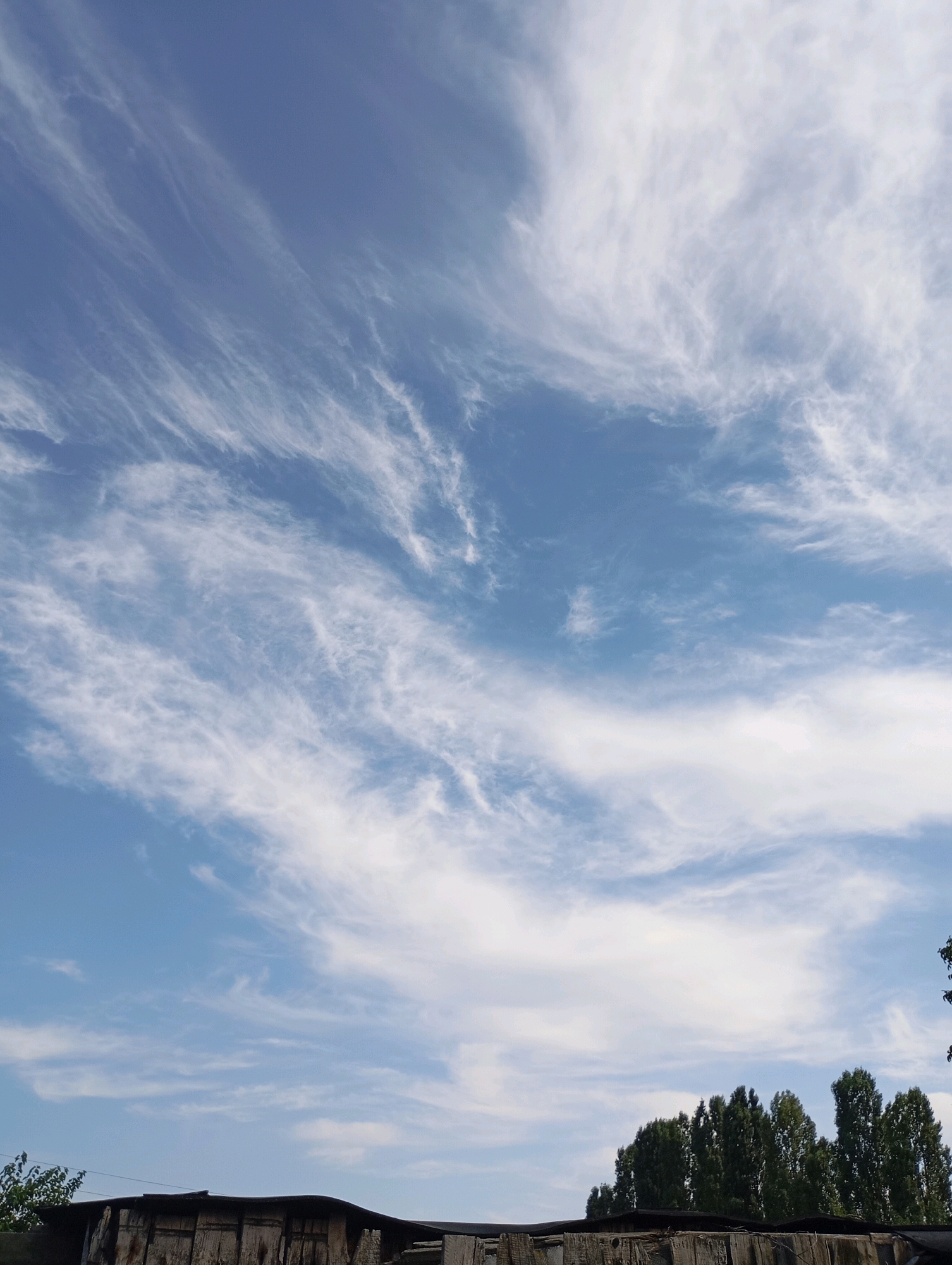 The image depicts a clear blue sky filled with wispy cirrus clouds, indicative of fair weather. In the lower portion of the image, a row of tall, green trees stands against the sky, suggesting an outdoor environment. Below the trees and trees, a dark, weathered wooden structure, possibly a fence or the roof of a building, is visible. The overall scene appears to be a snapshot of a typical day in a semi-urban or rural setting, with nature and man-made structures coexisting. The specific location in Horishni Plavni, Ukraine, is not discernible from the image itself, but the context suggests a landscape characteristic of the region.