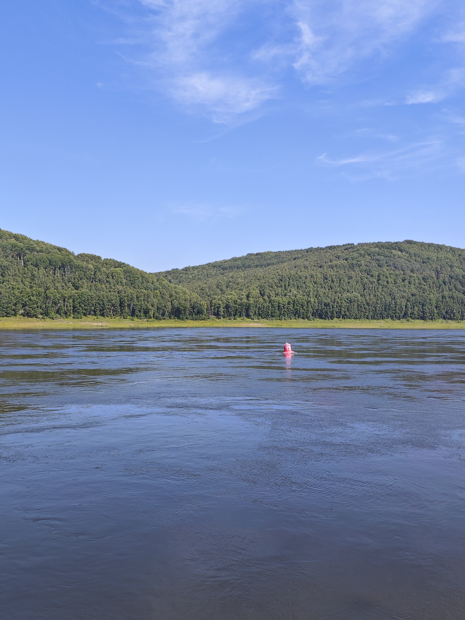 A scenic view of the Amur River near Fomka, Russia, under a clear blue sky with wispy clouds. Lush green, tree-covered hills form the backdrop on the far bank of the wide, calm river. A solitary pink buoy floats on the water in the middle ground. The water's surface is rippled, reflecting the sky and distant trees.