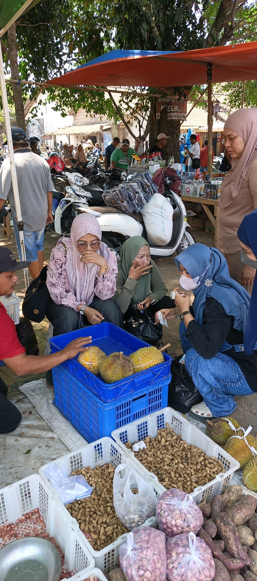 This image captures a lively street market scene in Jatinom, Indonesia, under the dappled shade of trees and a makeshift canopy. A variety of fruits, vegetables, and possibly other goods are displayed in plastic crates and bags, suggesting a bustling commercial environment.
In the foreground, a blue crate holds several durians, their spiky exteriors a distinctive feature. To the left of the durians, a person wearing a red shirt is kneeling, with their hand resting on the crate, possibly attending to the fruit. Next to this crate, a white plastic crate is filled with peanuts, and another to its right contains more peanuts. Further to the right, a collection of purplish onions or shallots are neatly packaged in plastic bags, alongside some sweet potatoes.
Several people are visible throughout the scene, many of whom appear to be vendors or shoppers. In the middle ground, three women are seated, two of whom are wearing headscarves. One woman in a pink patterned shirt and headscarf is looking down, her hand near her face. Another woman in a green headscarf is also looking down and has her hand raised to her mouth. A third woman, wearing a blue headscarf and a face mask, is interacting with the woman in the pink shirt, and appears to be holding something small in her hands.
In the background, more people are seen standing and interacting, some near motorcycles which suggest transportation and further commerce. A large orange and blue canopy is stretched over a part of the market, providing shade. The overall impression is one of vibrant local commerce, with a focus on fresh produce. The setting appears to be an outdoor market on a sunny day, with a warm and somewhat crowded atmosphere.