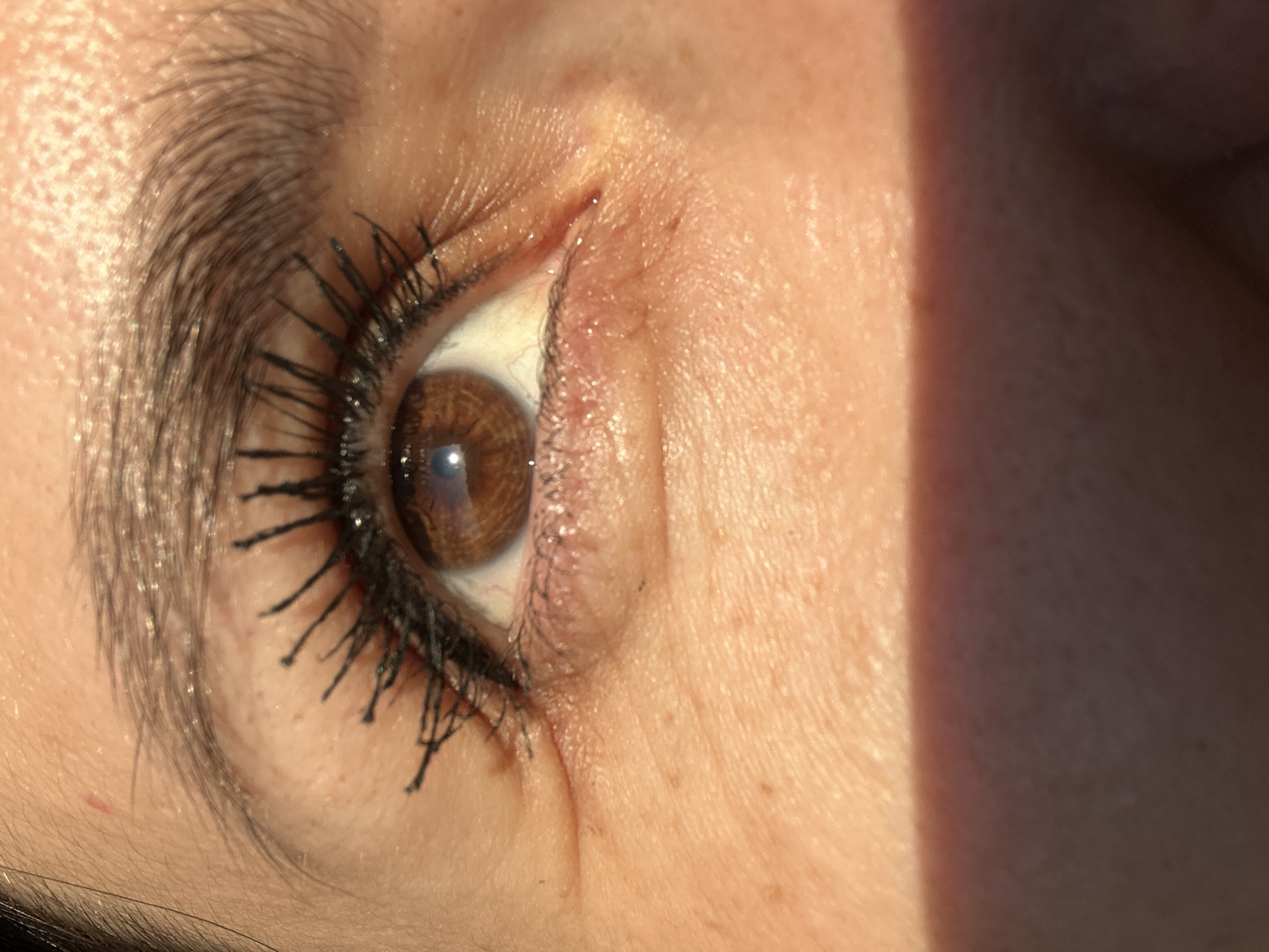 A close-up image shows a human eye. The eye has brown iris. The upper eyelid is lined with dark mascara-coated eyelashes. The skin around the eye is fair. The upper eyebrow is thick and dark brown. Part of the face is in shadow on the right side of the frame. The location and city are not determinable from this image.