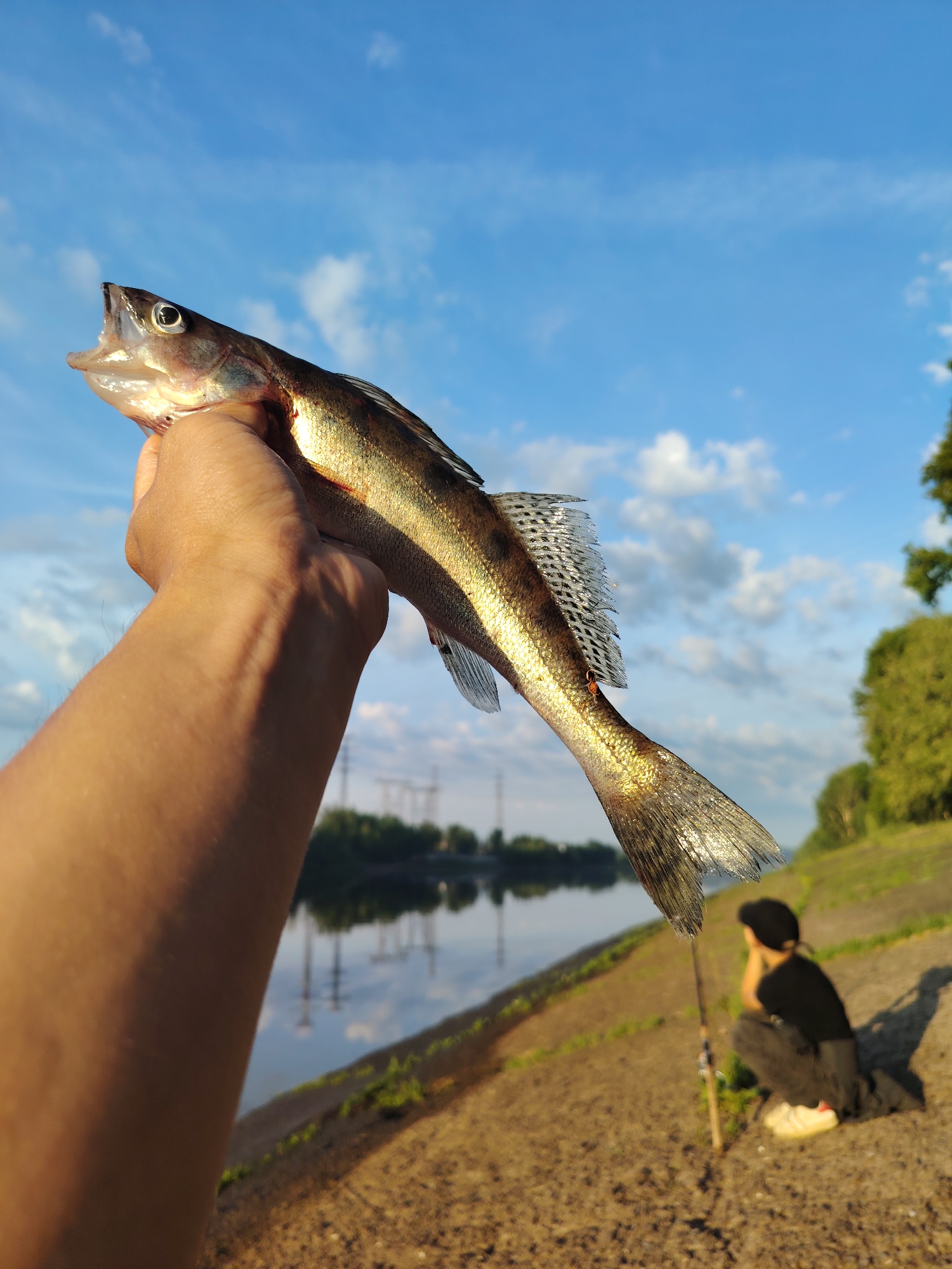 The image captures a close-up of a person's hand holding a freshly caught fish against a backdrop of a wide, calm river and a bright blue sky with scattered white clouds. The fish, with its mouth agape and shimmering scales, is the central focus. In the background, a person is seen sitting by the riverbank, fishing. The scene appears to be set during golden hour, with the warm sunlight casting long shadows and illuminating the landscape. The location is identified as Chaikovsky, Russia, suggesting a natural, recreational setting with a focus on outdoor activities like fishing.