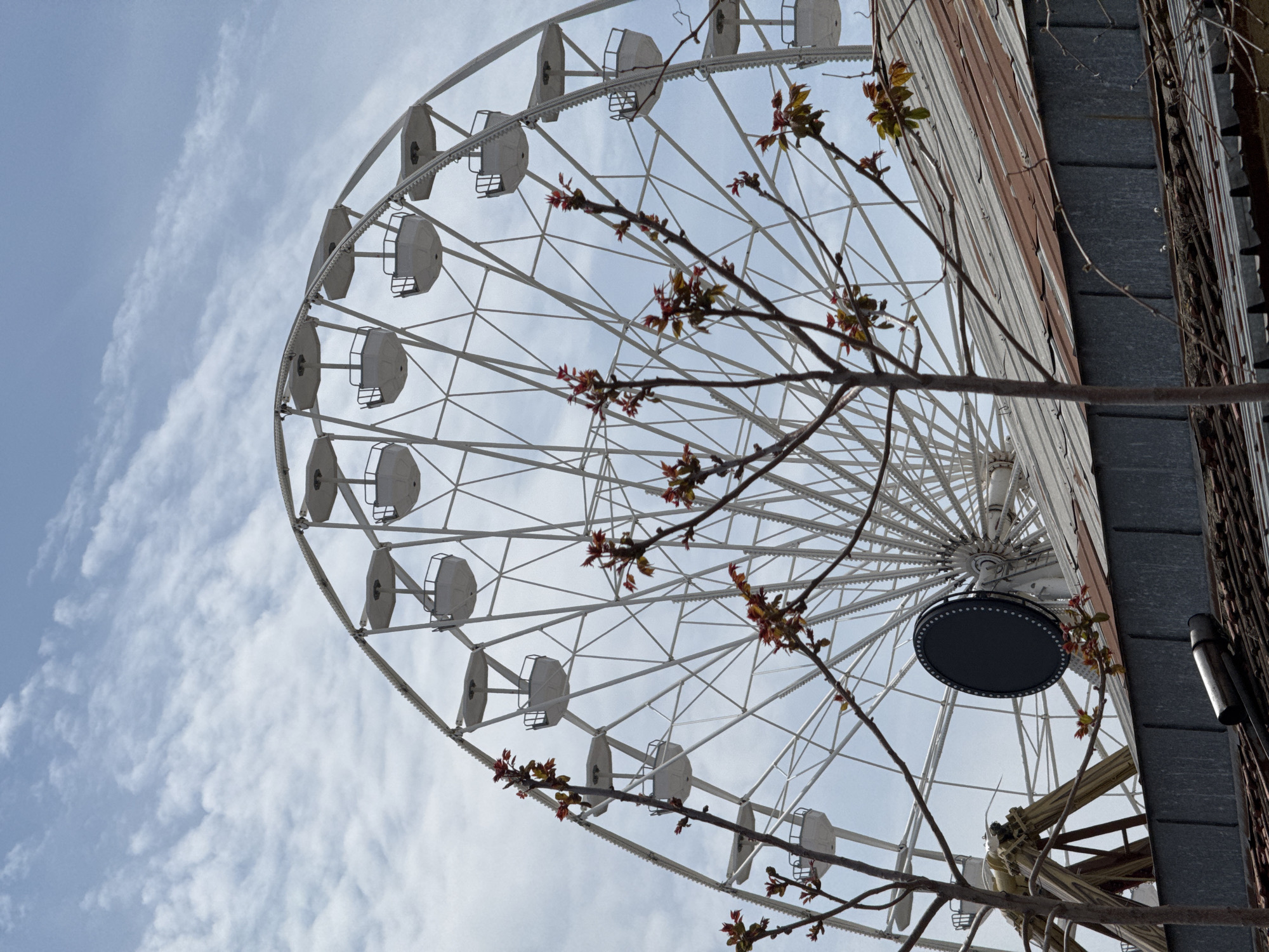 A large white Ferris wheel dominates the scene, viewed from a low, upward angle against a bright, cloudy sky. Approximately two-thirds of the wheel is visible, showcasing its intricate metal framework and numerous white, enclosed passenger gondolas. The sky is filled with soft, wispy white clouds, indicating daytime.
In the foreground, extending diagonally across the lower right and center of the frame, are bare tree branches with delicate clusters of newly emerging reddish-green leaves, suggesting springtime. To the far right, a section of an adjacent building is visible. This structure features vertical panels of what appears to be corrugated metal or siding, with sections in brown and grey tones, possibly part of an urban or recreational complex. A dark, circular panel with small circular lights or studs adorns the central hub of the Ferris wheel, but any potential text or logo on it is not legible.
No specific activity or event is taking place; the Ferris wheel appears stationary, and no people are visible, presenting a static, architectural and natural landscape. The presence of the Ferris wheel suggests a location such as an amusement park, fairground, or waterfront recreational area, consistent with the context of Varna, Bulgaria. No legible text is present in the image.
