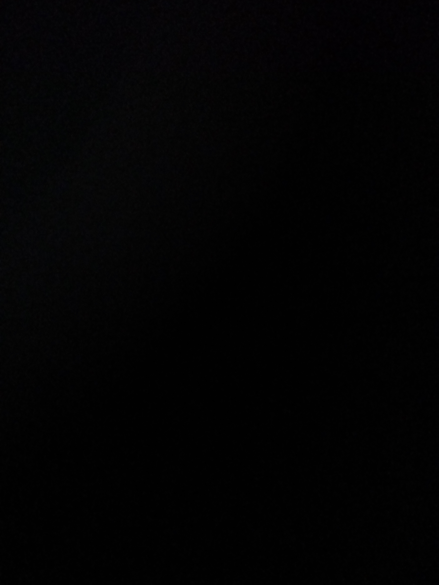 The media file is entirely black and does not contain any visible subjects, objects, scenes, activities, or text. Therefore, no description of time of day, weather, location cues, or emotions can be provided.