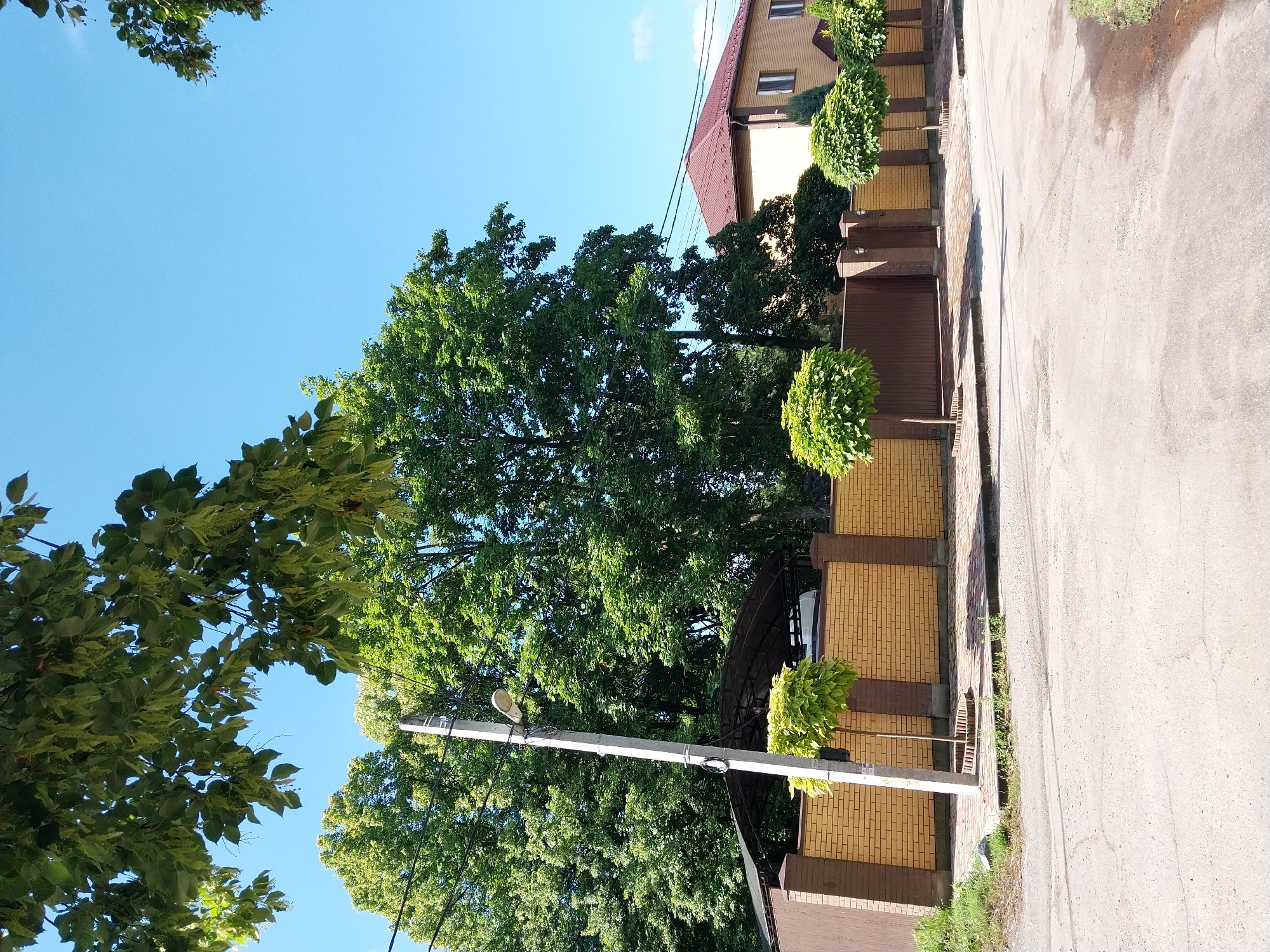 The image depicts a street scene in Doslidne, Ukraine, on a clear, sunny day. In the foreground, a paved road transitions into a sidewalk with decorative brick and concrete edging. Several manicured, globe-shaped trees line the sidewalk. Behind the sidewalk is a yellow brick fence with brown brick pillars, topped with exterior lights. Beyond the fence, a dark brown metal gate is visible, and further back, a covered carport with a white vehicle underneath. To the right of the gate and fence is a two-story house with a brown roof and beige walls, featuring multiple windows. Large, leafy green trees dominate the background, providing shade and creating a natural canopy. A concrete utility pole with a streetlight stands prominently on the left side of the frame, near the carport. The sky is a vibrant, cloudless blue. There are no people or animals visible in the image.