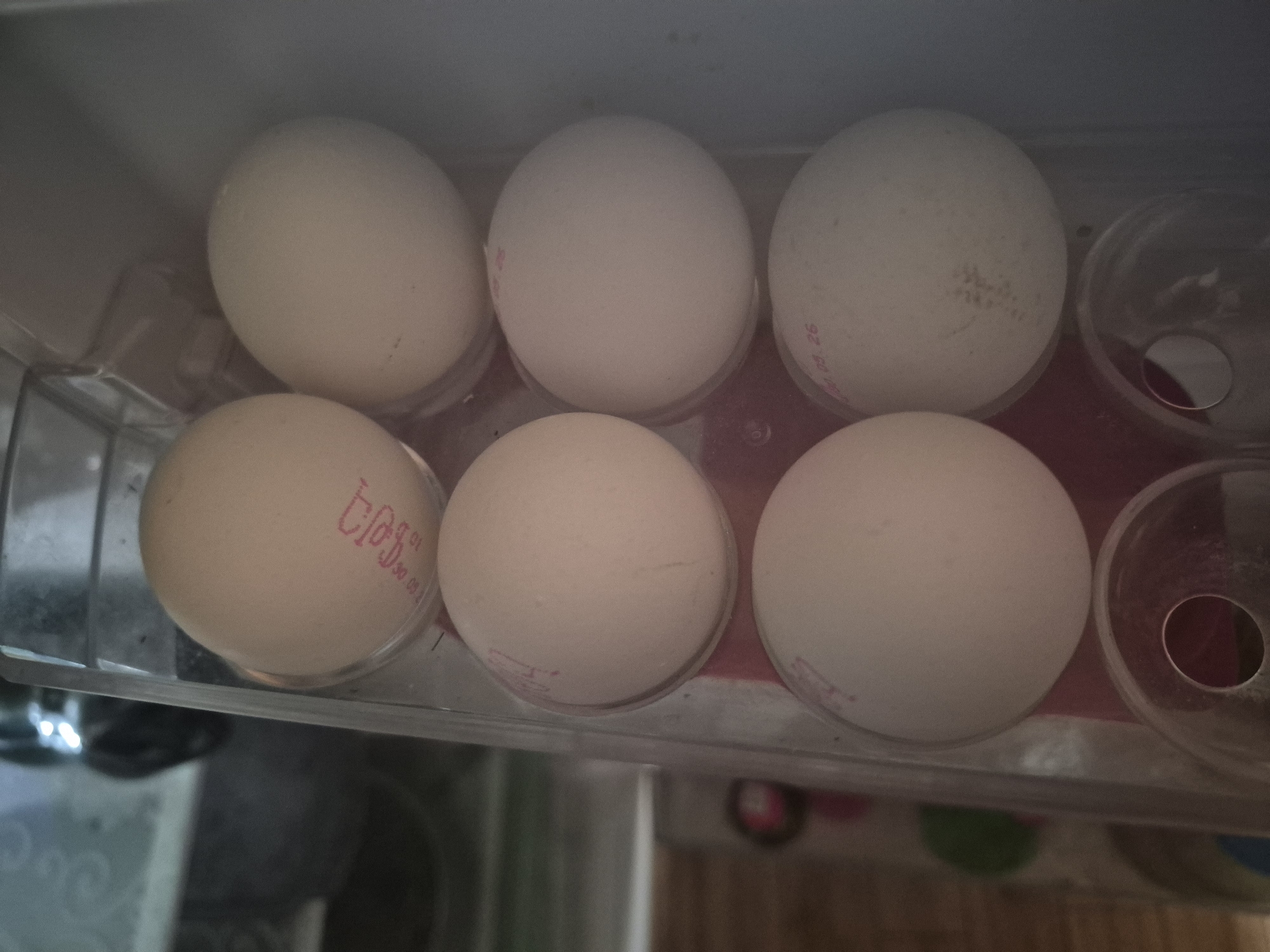 The image displays six white chicken eggs arranged within a clear plastic egg holder, likely situated inside a refrigerator. The eggs are uniformly light-colored and appear to be of similar size. The egg holder has empty slots to the right, indicating more capacity than currently utilized.
Several eggs feature red or pink stamped markings, presumably indicating origin or best-before dates. The egg in the bottom-left corner distinctly shows the word "BOSS" printed vertically, followed by the numbers "30.09.01" beneath it, suggesting a date such as September 30th. Two eggs on the right side, one in the top row and one directly below it, also bear partial stamps with the numbers "09. 26", possibly indicating September 26th. Other eggs have fainter or less legible stamps.
The scene is static, depicting an everyday storage situation in a kitchen or home setting. The lighting suggests artificial indoor illumination. No human subjects are present, and no particular activity is taking place. The overall context places this image in Yerevan, Armenia.