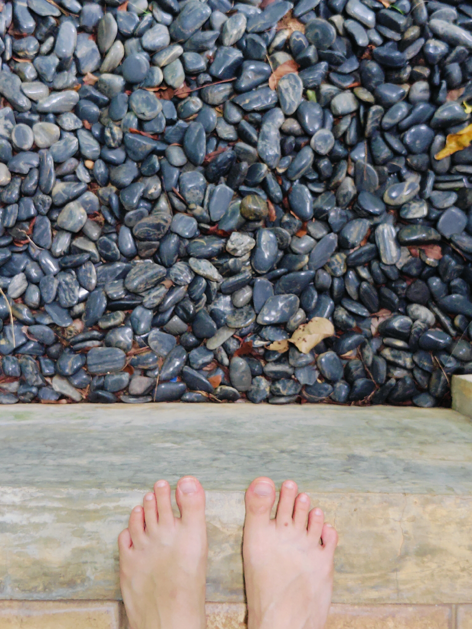 The image shows a close-up, top-down view of a person's bare feet standing on a step. The feet are positioned in the lower center of the frame, with the toes pointing upwards. The skin tone is light. The person is standing on a textured, light-colored step, likely made of concrete or stone, which transitions to a darker, textured surface below the step. Behind the step, filling the upper portion of the image, is a dense collection of smooth, dark gray and black pebbles, interspersed with a few dry, brown leaves. The pebbles appear wet and polished, suggesting they may be part of a decorative garden feature or pathway. The lighting is even and natural. The image does not provide specific details about a location in Mu Si, Thailand, other than implying an outdoor setting with landscaping elements.