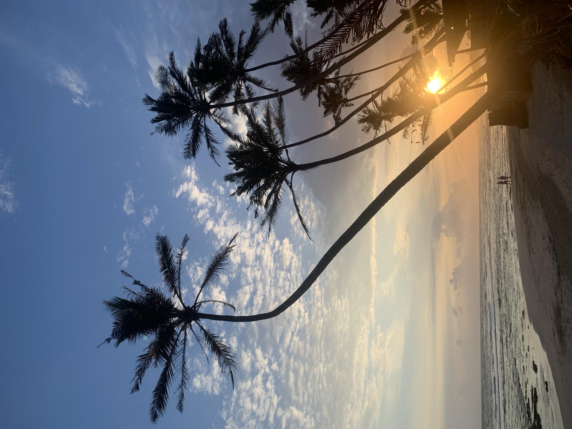 The image shows a beach scene at Kathaluwa, Sri Lanka. Several palm trees are silhouetted against the sky. The sun is visible, obscured by the trees. The beach and the ocean are visible. Two small figures of people are walking along the shoreline. The sky is a mix of blue and orange/yellow, with scattered clouds. The image is oriented vertically.