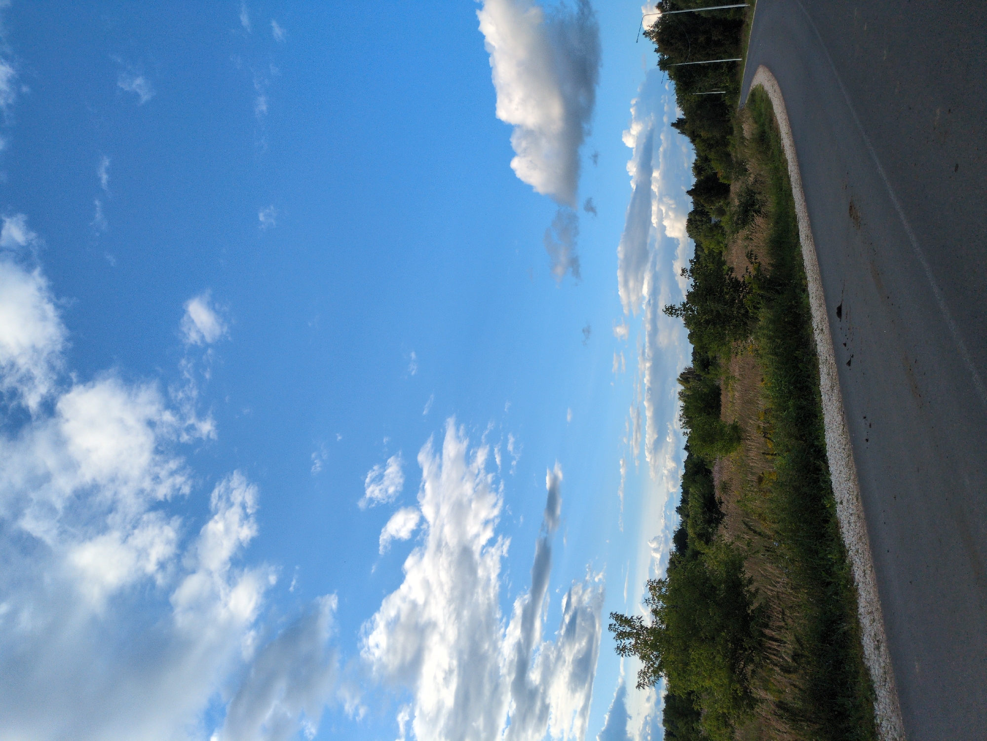 The image depicts a rural roadside scene under a partly cloudy blue sky. A paved road curves from the lower right towards the center left of the frame. The roadside is lined with gravel and then a dense area of vegetation, including tall grasses, wildflowers, and various trees and bushes. In the distance, a dense treeline forms the horizon, with a few scattered structures and what appear to be streetlights visible along the road. The sky is a vibrant blue with numerous cumulus clouds, some bright white and others with gray undersides, indicating varying levels of density and light exposure. There are no people or animals visible in the image. The overall impression is one of a quiet, natural landscape with a man-made road cutting through it.