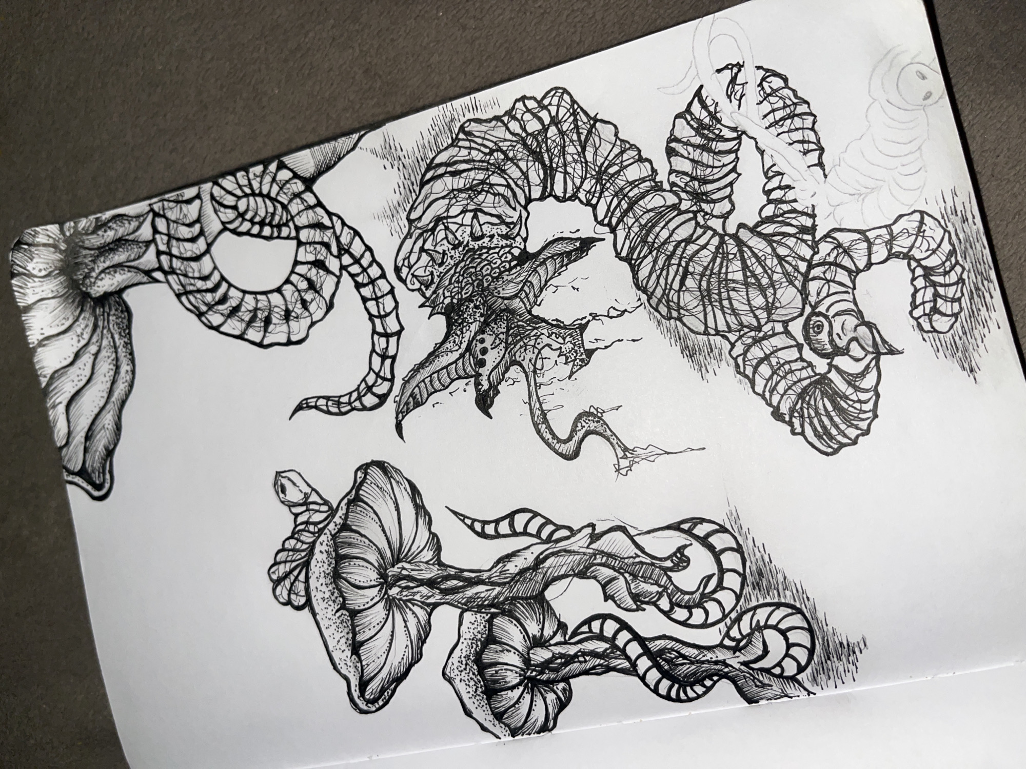 The image is a black and white drawing on a white page, featuring several fantastical creatures or organisms. The drawing is not of Sofia, Bulgaria, but appears to be a sketchbook page.
The creatures share common elements: bulbous, textured bodies connected to segmented, worm-like extensions. One creature has a more elaborate central body with tentacles and textured skin. Another creature in the upper right is only lightly sketched. The style is detailed with intricate linework and stippling to create texture and shading. The page is sitting on a plain, gray surface.
