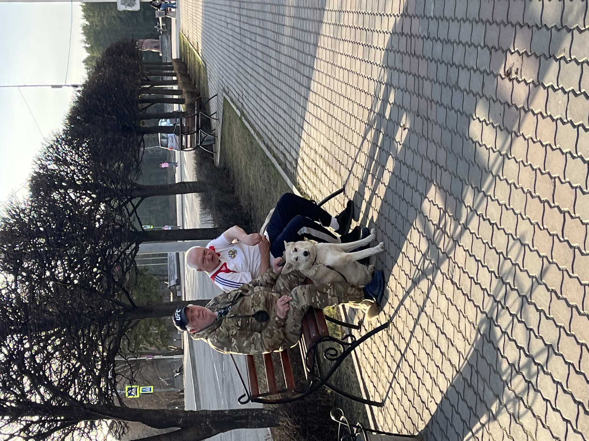 The image captures a moment in Zelenogorsk, Russia. Two men and a dog are sitting on a bench. One man is wearing a camouflage jacket and a UFC hat. The second man is wearing a white shirt with red and blue stripes, possibly representing the Russian flag. The dog is sitting between them. They are sitting on a bench on a paved area, likely a park or walkway. Trees line the path, casting shadows on the ground. In the background, there is a road with some vehicles and pedestrians. The sky is clear.