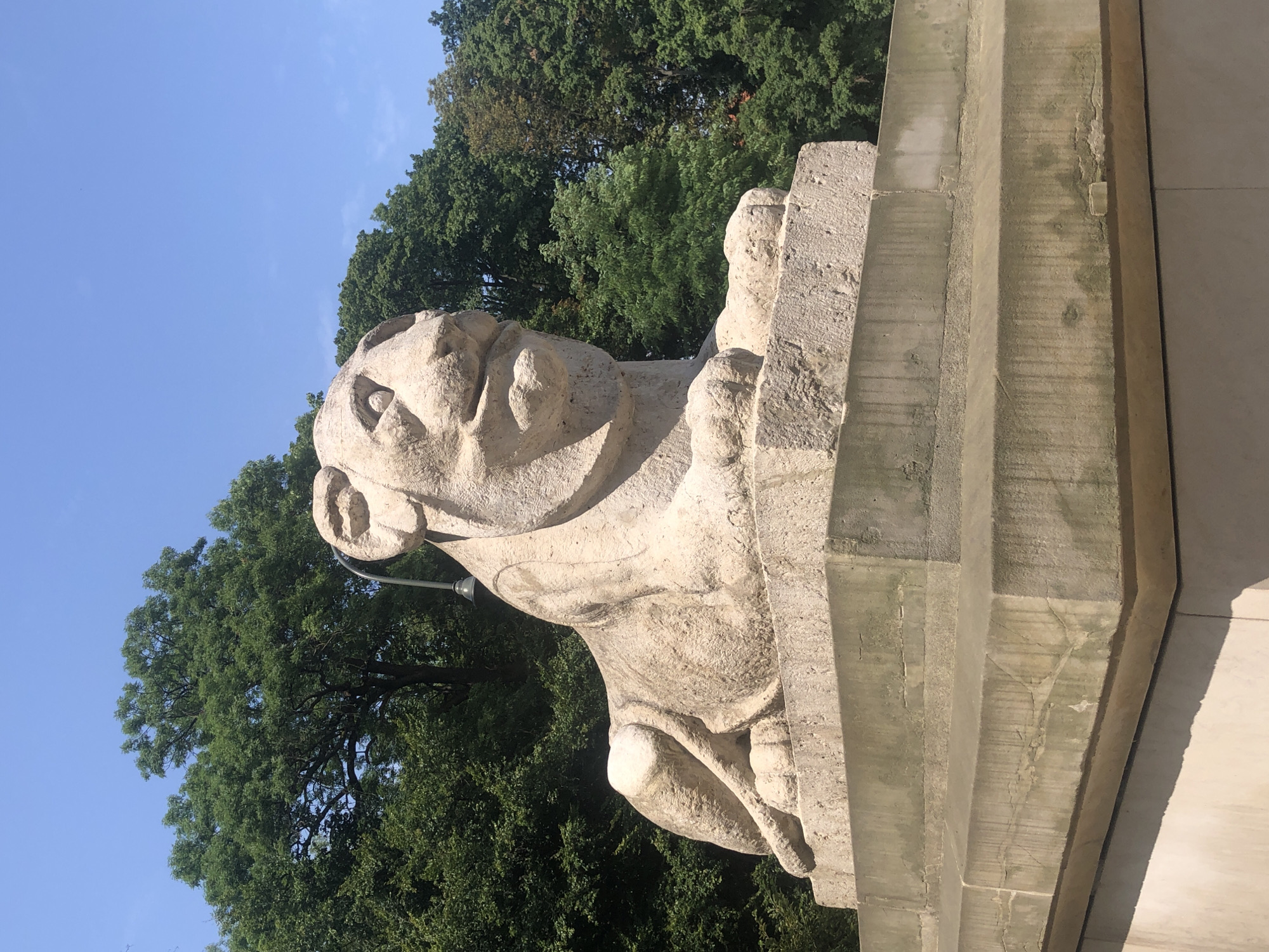 A stone sculpture of a reclining lion is situated on a concrete pedestal. The lion is facing to the right, with its head turned slightly towards the viewer. Its paws are tucked underneath its body. The sculpture is positioned in front of a dense line of green trees, and a bright blue sky is visible above. A single streetlamp extends from behind the lion's head. This monument is located in Warsaw, Poland, specifically in front of the National Museum.