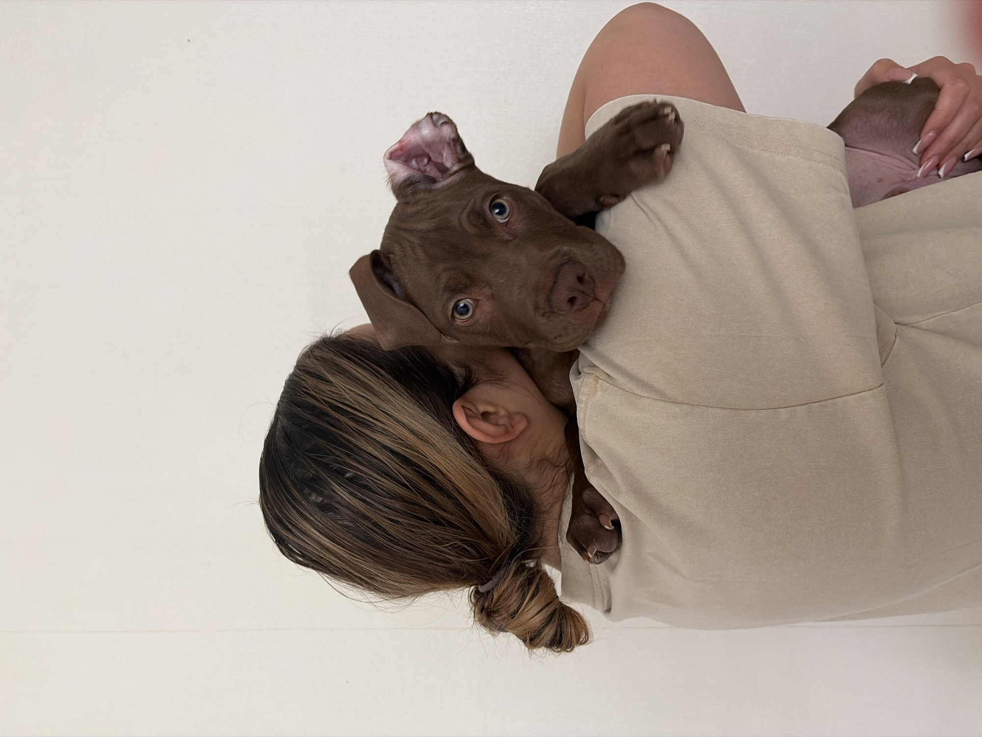 A person with their back to the camera is holding a small brown puppy. The person has their hair tied back in a bun and is wearing a beige t-shirt. The puppy is looking at the camera with its head resting on the person's shoulder. The background is a plain white wall. The scene appears to be indoors.