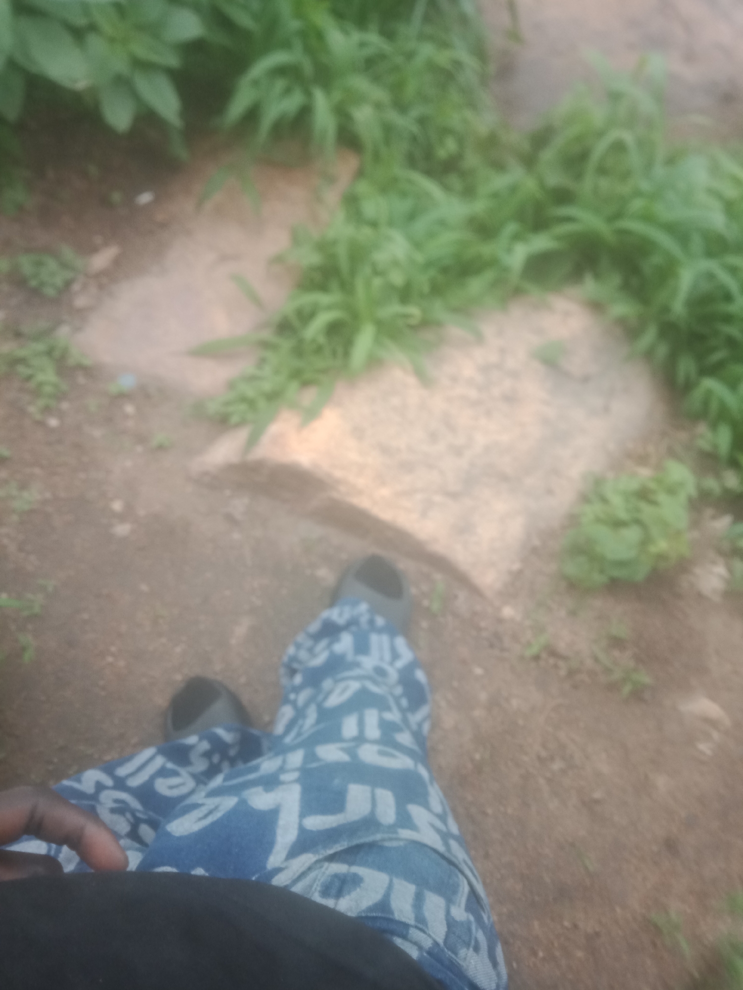 A low-angle, outdoor, slightly out-of-focus medium shot shows the legs and feet of a person wearing patterned blue pants and dark shoes, standing on a dirt path. The path is partially covered by flat, light-colored stones, and surrounded by green vegetation. The person's left hand is visible in the lower left corner. The scene is consistent with an outdoor environment in an unspecified urban or natural setting.