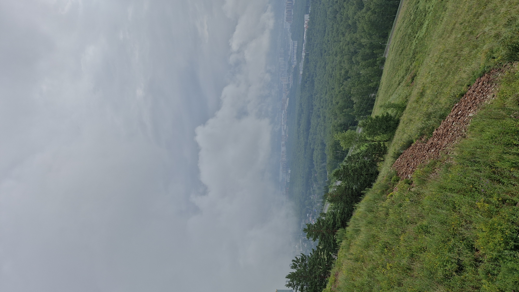 This is a high-angle, wide shot of a cloudy, overcast day overlooking a forested city. The foreground features a grassy hillside with sparse patches of reddish-brown rocks. Several evergreen trees stand on the left side of the hill, with a road and power lines visible in the middle ground, snaking through more dense green forest. In the distance, a city skyline is visible, partially obscured by thick, white clouds that descend towards the horizon. The clouds dominate the upper portion of the image. The scene appears to be located in the city of Krasnoyarsk, Russia, possibly from a viewpoint on one of the city's surrounding hills.