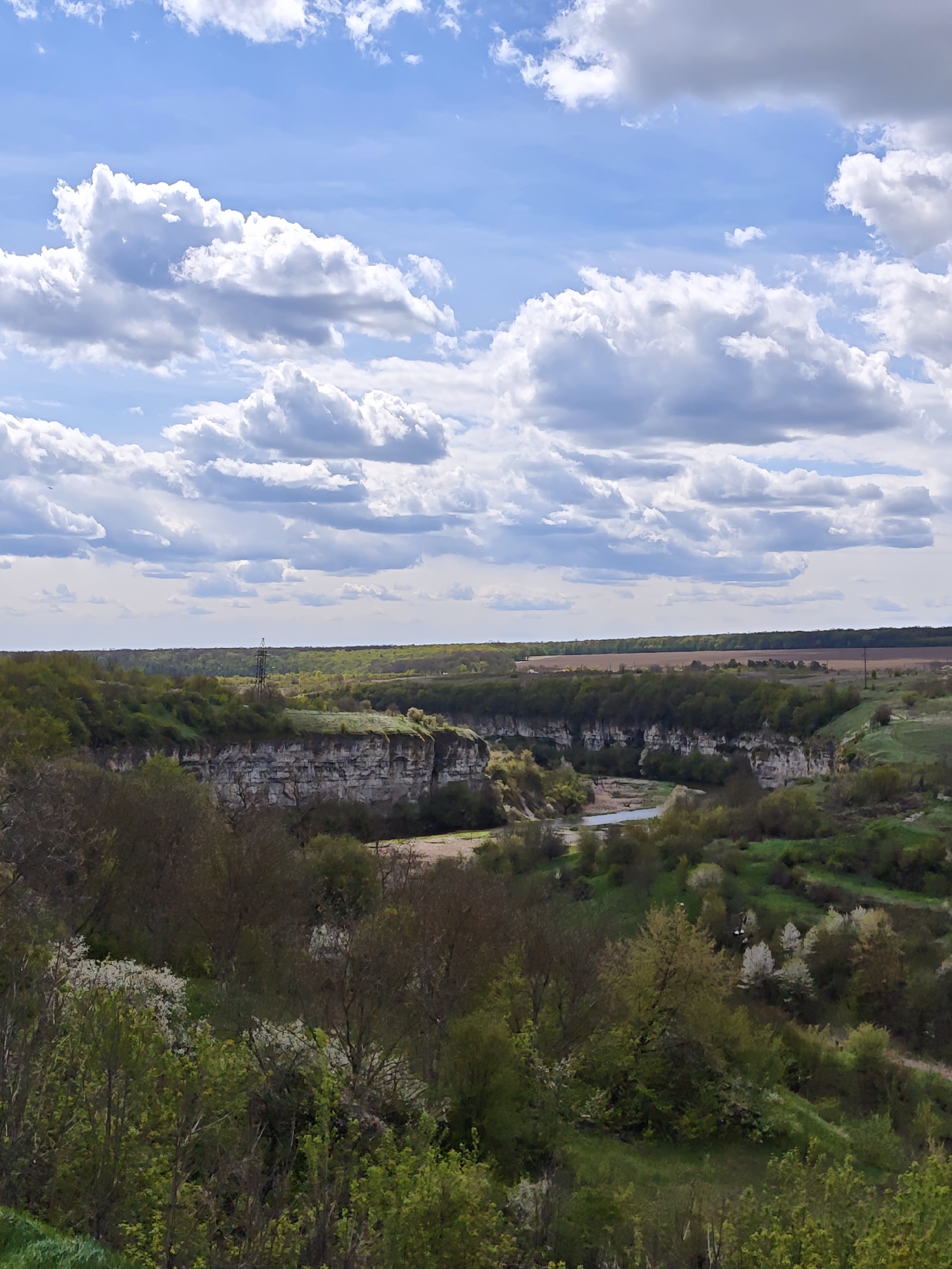 A wide, high-angle shot captures a serene natural landscape, likely a river valley or canyon, under a bright blue sky filled with large, fluffy white and grey cumulus clouds. The scene is dominated by vibrant green vegetation, indicating springtime, with numerous trees and bushes covering the slopes and bottom of the valley, many of which display delicate white blossoms.
The valley features distinctive light-colored, layered rocky cliffs that line its edges, partially obscured by greenery. A narrow, calm river or stream meanders through the bottom of the valley, reflecting the sky. In the mid-ground, on the far side of the valley, a tall, dark metal utility tower or pylon stands prominently amidst the trees. Beyond the immediate valley, the landscape stretches into the distance with more green forests and areas of cultivated land, some appearing brown. The image presents a peaceful daytime vista, rich in natural textures and colors. No people or visible text are present. The location is consistent with the natural beauty found near Kamianets-Podilskyi, Ukraine.