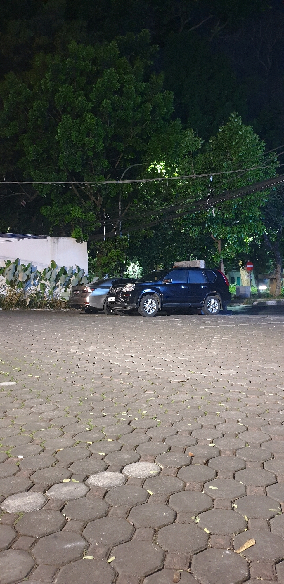 Two cars are parked side-by-side on a hexagonal paver stone surface at night. The car on the left is a silver sedan. The car on the right is a dark blue SUV. In the background, there are large trees with lush green foliage, illuminated by artificial lights, creating a dark, atmospheric setting. A white wall with decorative plants is visible behind the silver sedan. Electrical wires are strung across the upper portion of the image, obscuring the night sky. A red and white circular traffic sign is visible further down the street to the right of the blue SUV. The overall scene suggests a parking area in a city, likely in a tropical climate given the dense vegetation. The presence of cars and streetlights indicates an urban or suburban environment. The image has a slightly grainy quality due to low light conditions.