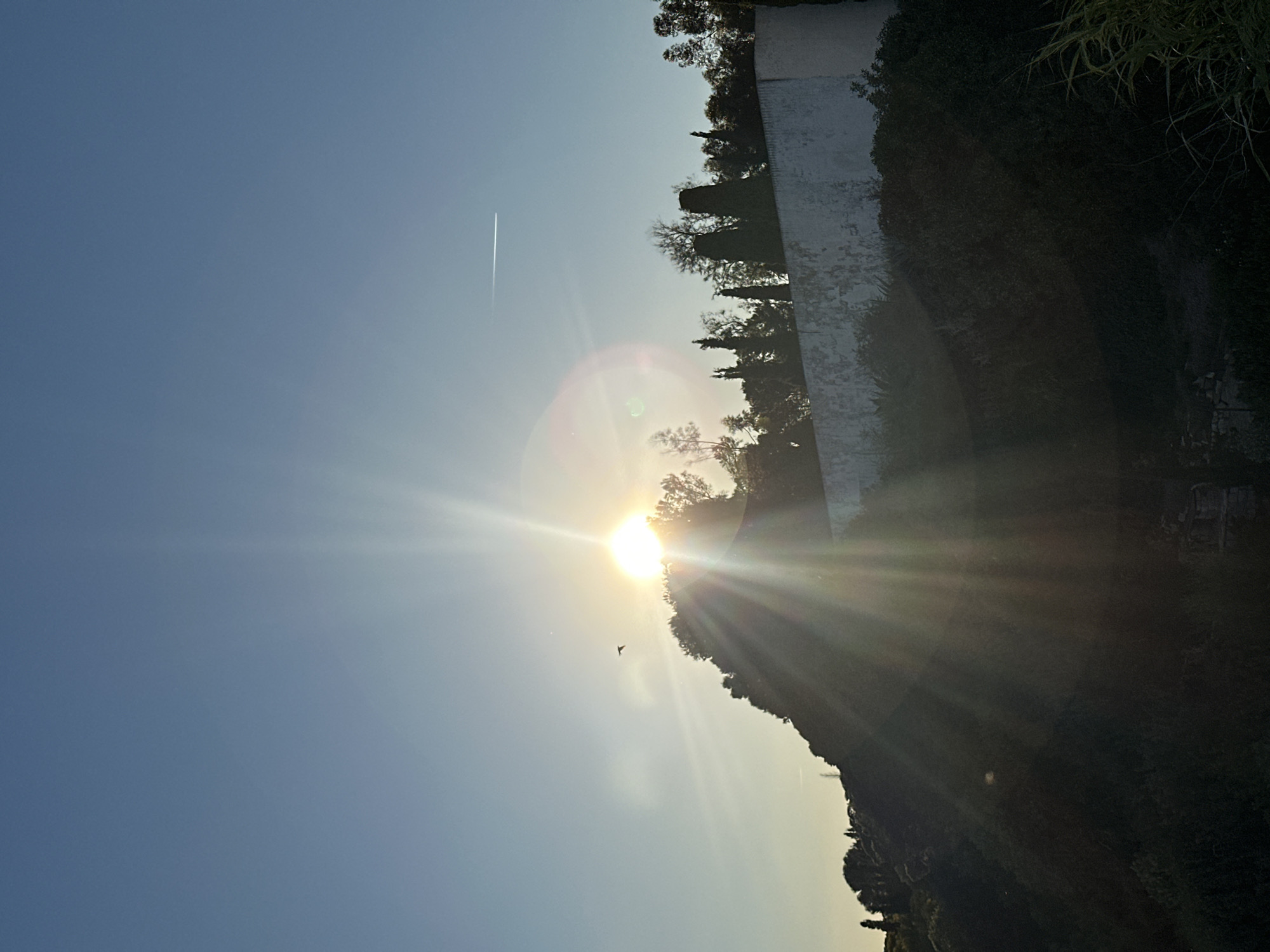 A daytime shot in Vila Real de Santo António, Portugal, shows a bright sun behind a line of trees and a white wall or building. A vapor trail is visible in the blue sky to the upper left. The sun's rays streak across the image, obscuring details of the terrain. A bird is visible in the sky.