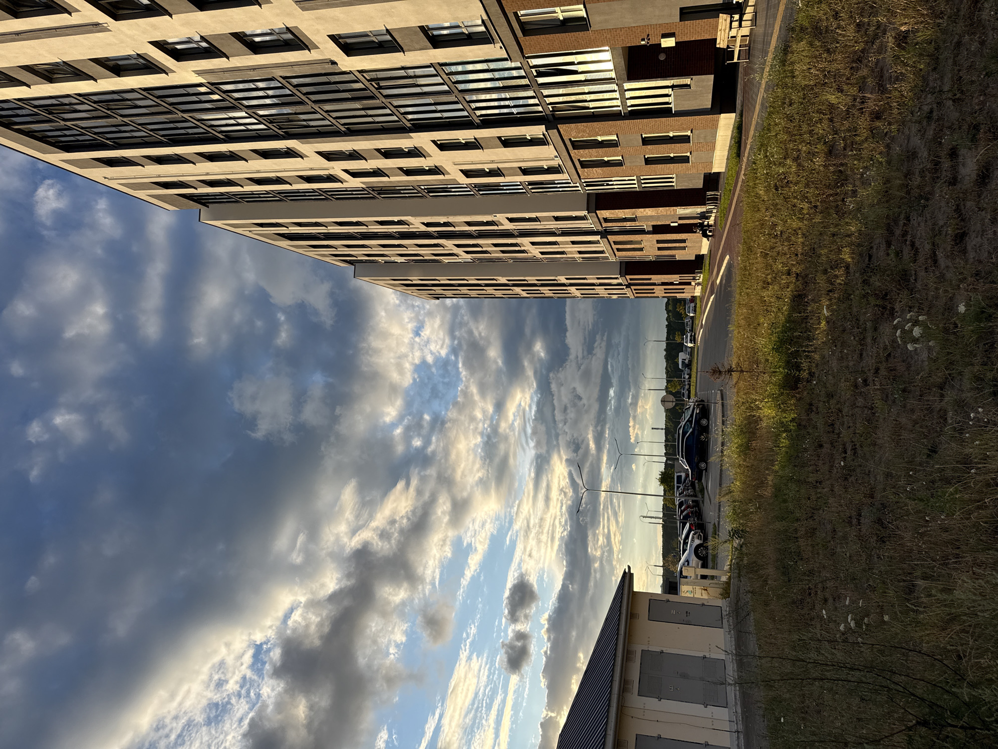 The image captures a scene in the city of Brest, Belarus, featuring a modern apartment building on the right and a smaller utility building on the left. The sky is dramatic, filled with a mix of dark clouds and bright patches illuminated by the setting sun, creating a stark contrast.
The apartment building is tall and features a facade of beige panels and darker brick accents. Its numerous windows are dark, reflecting the sky. The building is positioned at an angle, emphasizing its length and modern architecture.
To the left of the apartment building, there is a low-lying utility building with a dark, sloped roof. It has at least two large gray doors, suggesting it might house utilities or storage. The building appears to be made of light-colored material.
In front of the apartment building, a paved pathway runs alongside a grassy area. There are streetlights visible along the pathway, and a few parked cars can be seen in the distance, suggesting a parking lot adjacent to the buildings. A wooden bench is placed on the pathway in front of the apartment building.
The grassy area in the foreground is overgrown with dry, tall grass, interspersed with a few small white wildflowers. The lighting suggests it is late afternoon or early evening, with the low sun casting long shadows and highlighting the texture of the grass.
There are no specific identifiable people engaged in actions in this scene, though a dark silhouette is visible sitting on the bench in front of the apartment building. The overall environment appears to be a newly developed residential area with a mix of modern housing and undeveloped green space.