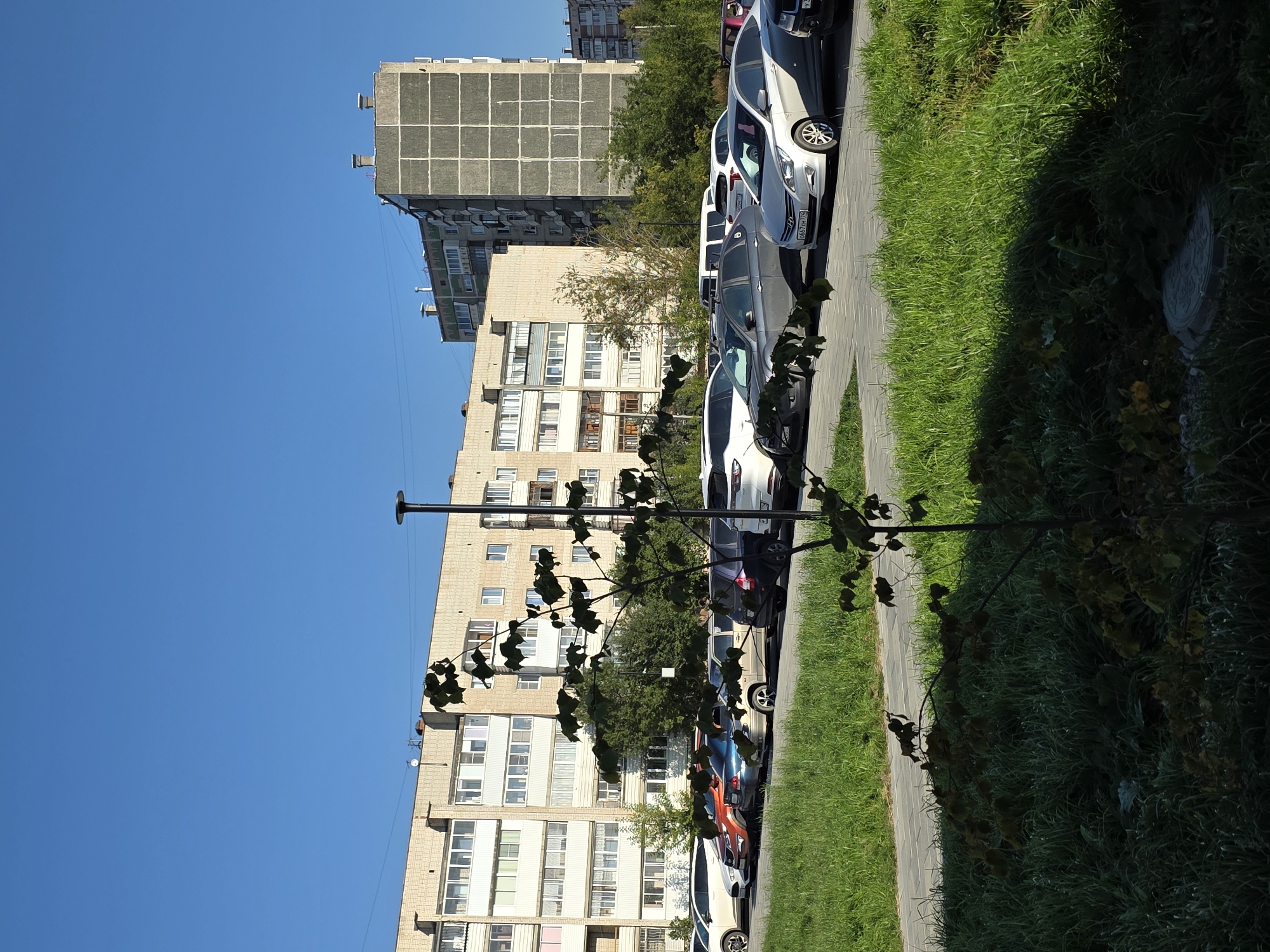 The image depicts a street scene in Miass, Russia, on a clear, sunny day. In the foreground, a narrow paved walkway runs diagonally across the frame, bordered by lush green grass. A small tree with sparse leaves is positioned in the middle ground, casting a shadow onto the walkway. Behind the walkway, a row of parked cars is visible, including a white SUV, an orange sedan, a blue sedan, a silver sedan, and a dark-colored SUV. The cars are parked in a parallel manner on a paved surface.
In the background, a multi-story apartment building dominates the scene. The building has a light-colored facade with numerous windows and balconies. To the right of this building, another taller apartment building with a concrete grid exterior is visible. More trees and greenery are interspersed between the buildings. The sky is a clear, bright blue. There are no people visible in the image.
