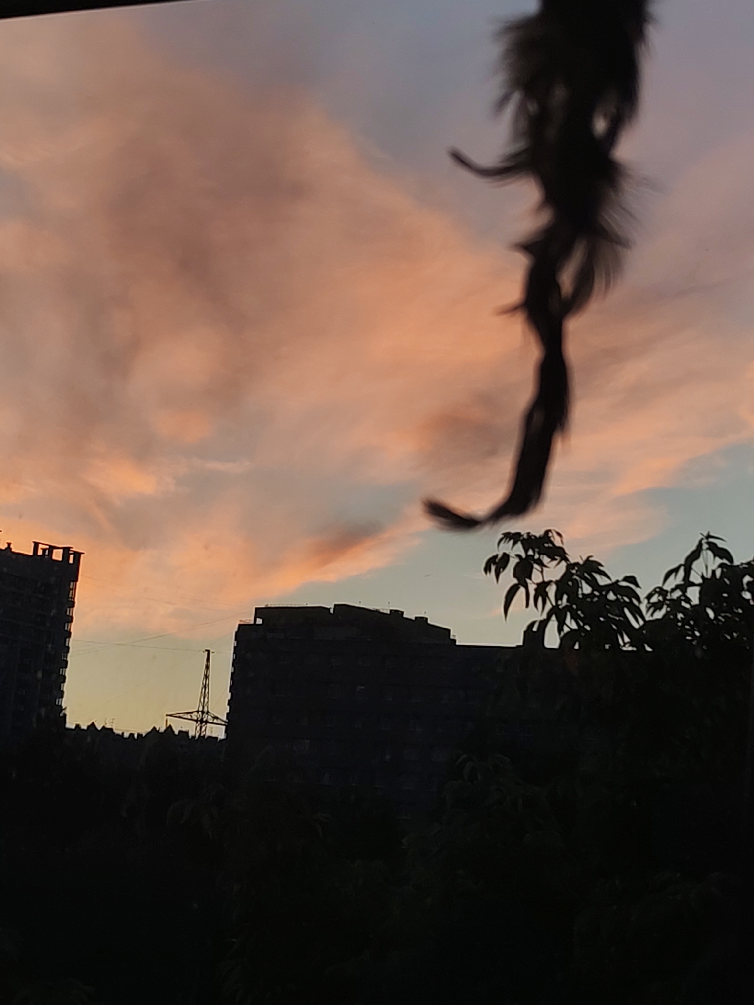 The image depicts a silhouette of trees and buildings against a sunset sky in Izhevsk, Russia. In the foreground, a dark, feathery object hangs suspended in the air, possibly a decoration or part of a bird. Silhouetted buildings, one appearing to be a tall apartment complex, are visible on the left and right sides of the frame. In the center, a metal tower, likely for power lines, stands against the horizon. The sky is filled with pink and orange clouds, characteristic of a sunset. The overall scene is dark due to the low light conditions of the sunset, with most of the details obscured by shadows.