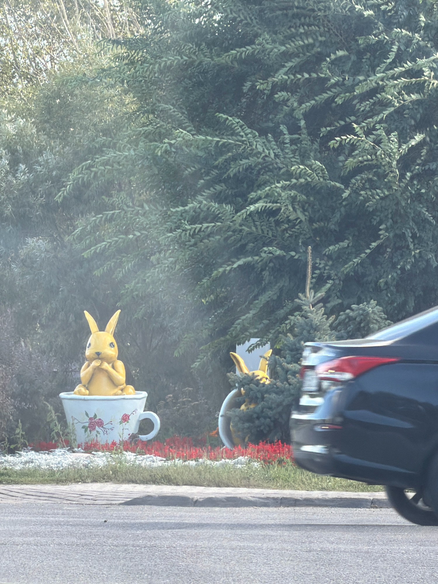 The image captures a bright, sunny day with a slightly hazy atmosphere, potentially indicating dust or light fog, in Astana, Kazakhstan. The scene features a roadside garden with prominent decorative elements. A large, white teacup, adorned with painted red roses, serves as a planter. Within the teacup sits a bright yellow, stylized rabbit figurine with black eyes and upright ears, its paws clasped near its chin. Behind the teacup, lush green foliage of various trees and bushes forms a dense backdrop. To the right of the teacup, another yellow rabbit figurine, partially obscured by a miniature pine tree, is visible, seemingly in a similar pose. The foreground shows a paved road with a concrete curb and a strip of grass and red flowers bordering the garden. A dark-colored vehicle is in motion on the road, its rear visible, suggesting a street-level perspective. The overall impression is one of a well-maintained, whimsical garden display situated along a city street in Astana.
