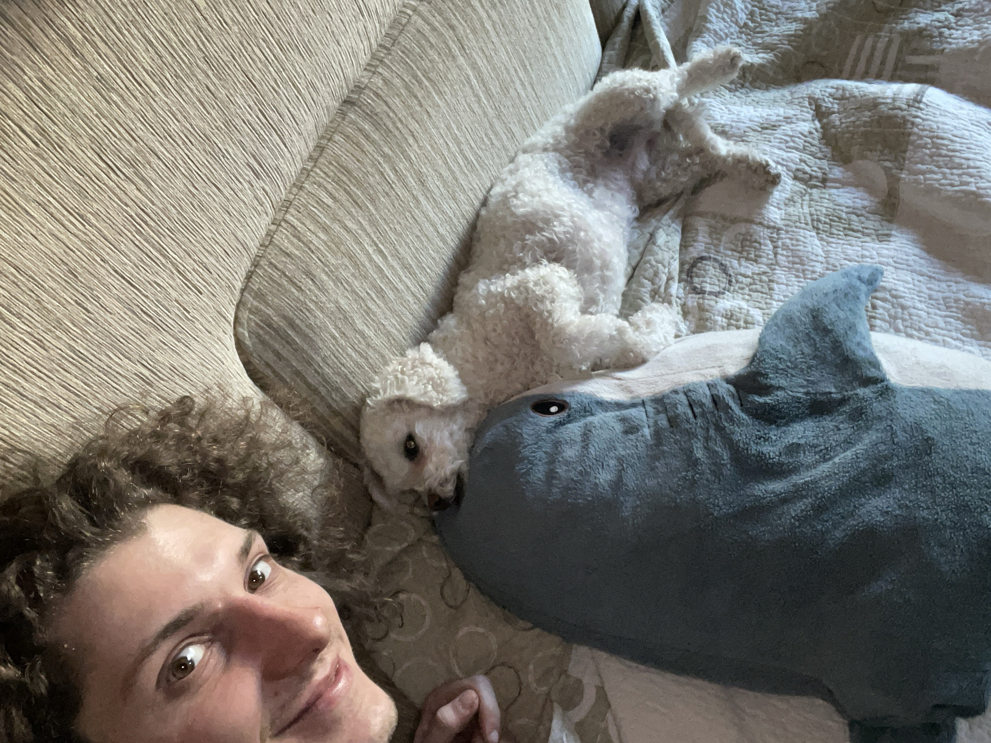 A man with curly brown hair is lying on a beige couch or bed next to a small white dog and a stuffed shark. The dog is lying on its back with its legs in the air. The couch or bed is covered with a patterned blanket. The man is looking at the camera and smiling slightly.
There is no indication this image was taken in Yekaterinburg, Russia.