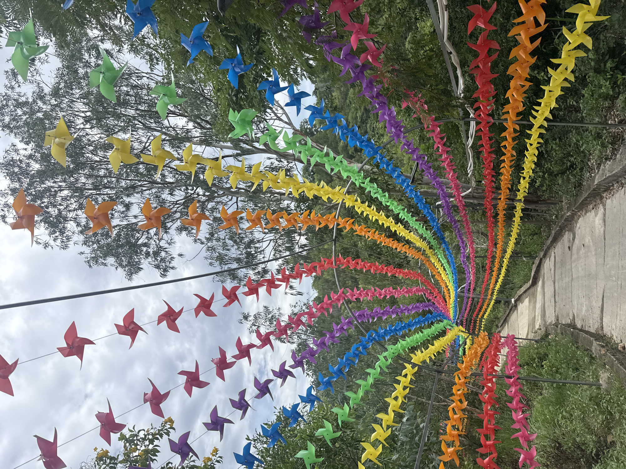 The image depicts a pathway in Nha Trang, Vietnam, adorned with an archway of colorful pinwheels. The pinwheels, arranged in rainbow order, are suspended from overhead wires, creating a vibrant and whimsical tunnel effect. The pathway itself is made of concrete and lined with lush green vegetation. The sky above is overcast, with some trees visible in the background. There are no people visible in the image.