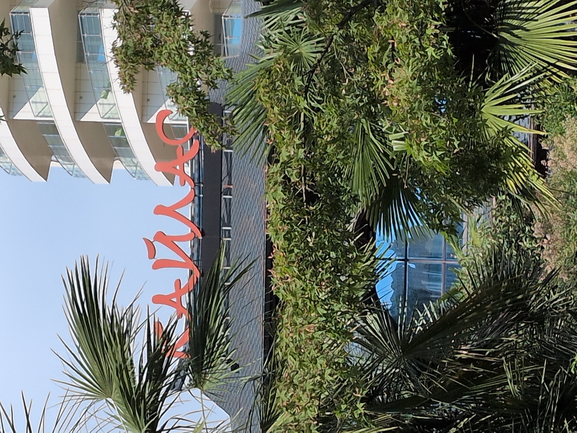The image shows a partially obscured view of a modern building with a distinctive white, curved facade. The building appears to be multi-story with large windows. In front of the building, and slightly to the left, are large, red, stylized letters that spell out "AVIAS". These letters are the most prominent text in the image.
The scene is dominated by lush green foliage, including palm fronds and leafy branches, which partially obscure the building and the text. Some of the foliage is in the foreground, with palm leaves extending from the bottom left and right of the frame. The building's architecture is characterized by repeating curved white elements and glass panels.
The sky visible in the upper left portion of the image is a clear, light blue, suggesting it is daytime. The lighting appears bright, casting shadows within the foliage. The overall impression is one of a tropical or subtropical environment, where modern architecture is integrated with abundant plant life. There are no people visible in the image. The composition is a close-up shot, with the building, text, and vegetation filling the frame.