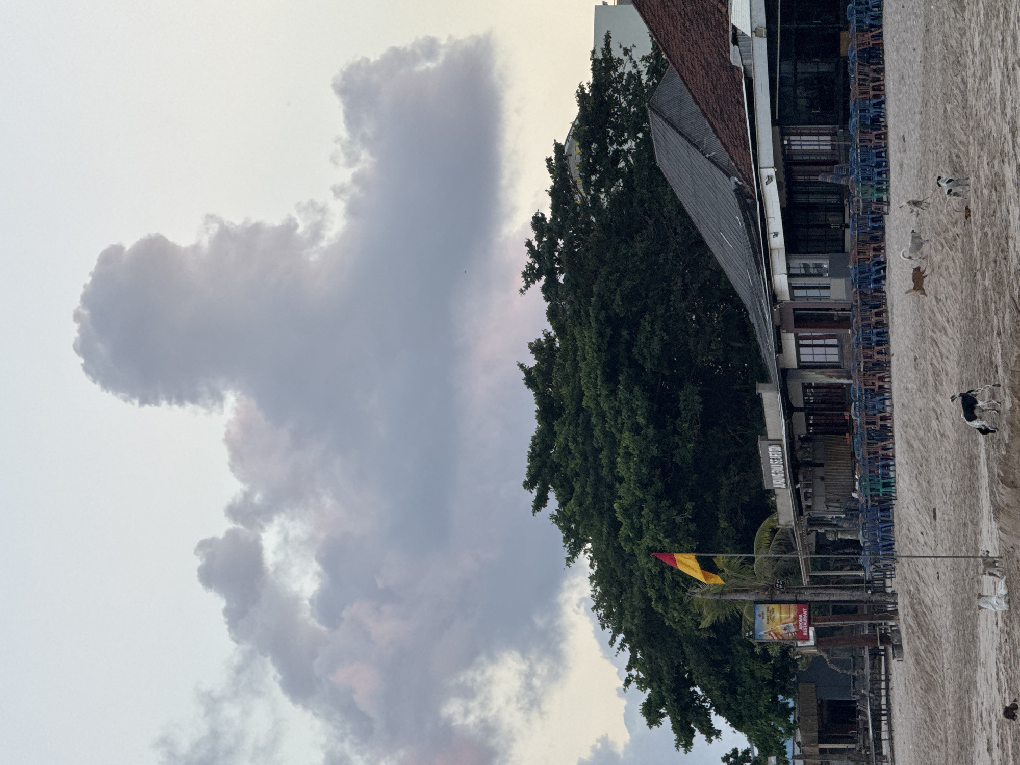 The image depicts a beachside scene in Kuta, Indonesia, at dusk. A large, dramatic cloud formation dominates the sky, casting a soft light over the landscape. In the mid-ground, a row of restaurants lines the beach, with outdoor seating arranged in front of them. The buildings have dark roofs, and some have awnings. A red and yellow flag flies from a pole near one of the restaurants. Several trees with dense green foliage are visible behind the buildings. On the sandy beach in the foreground, a small group of dogs are scattered across the sand, with one dog in the process of drinking water from a puddle. The overall atmosphere is serene, with the fading light and the presence of the animals suggesting a peaceful end to the day.