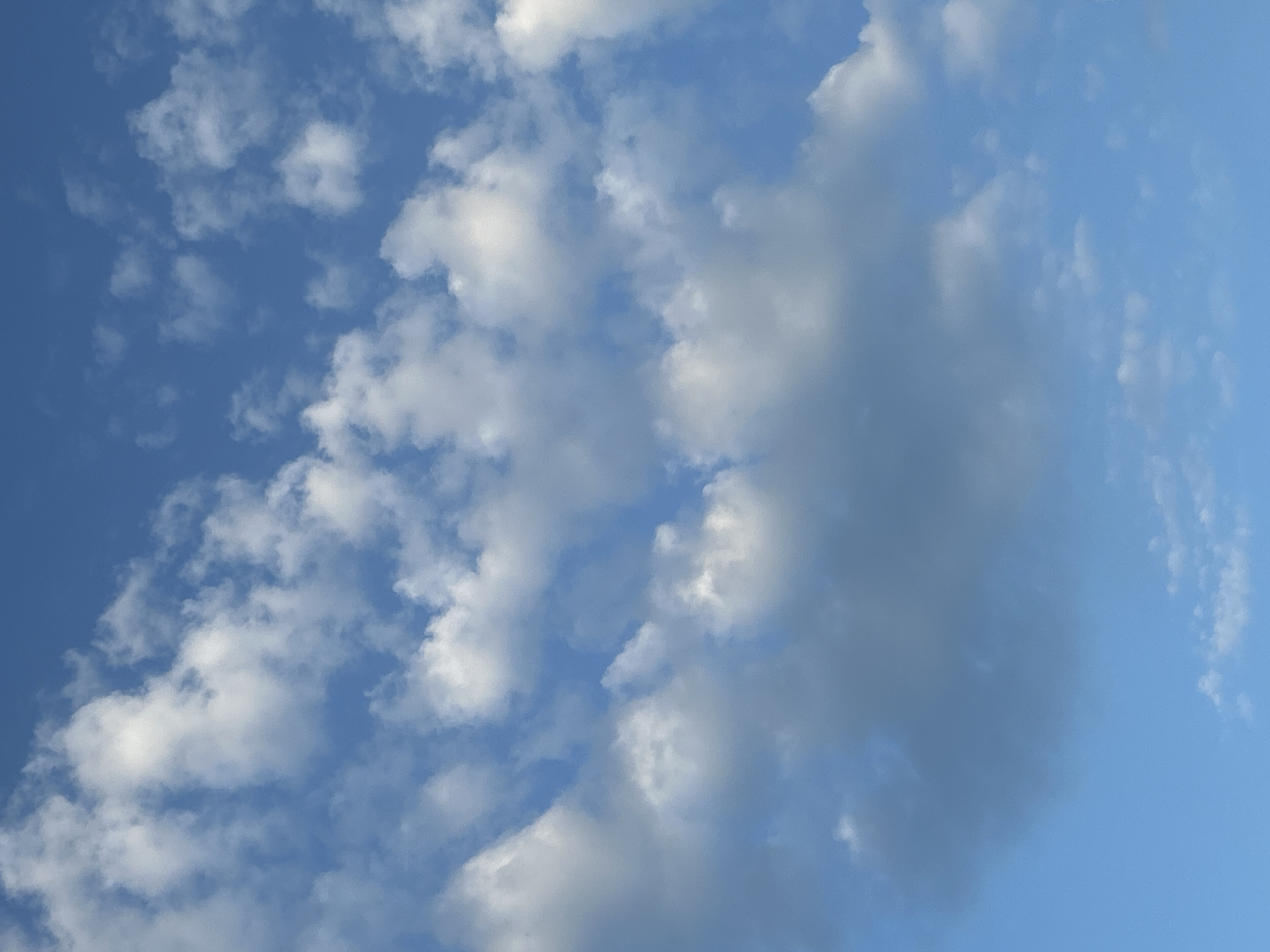 A full frame shot captures a wide expanse of blue sky dotted with white and gray clouds. The clouds are varied in size and density, with some appearing wispy and others thick and voluminous. The lighting suggests it is daytime, likely with the sun not directly overhead due to the shadows visible on some of the clouds. The scene is devoid of any discernable landmarks, human figures, or man-made objects, making it impossible to pinpoint a specific location within the city of Nam Nha Trang Ward, Vietnam, or anywhere else. The image presents a natural skyscape.