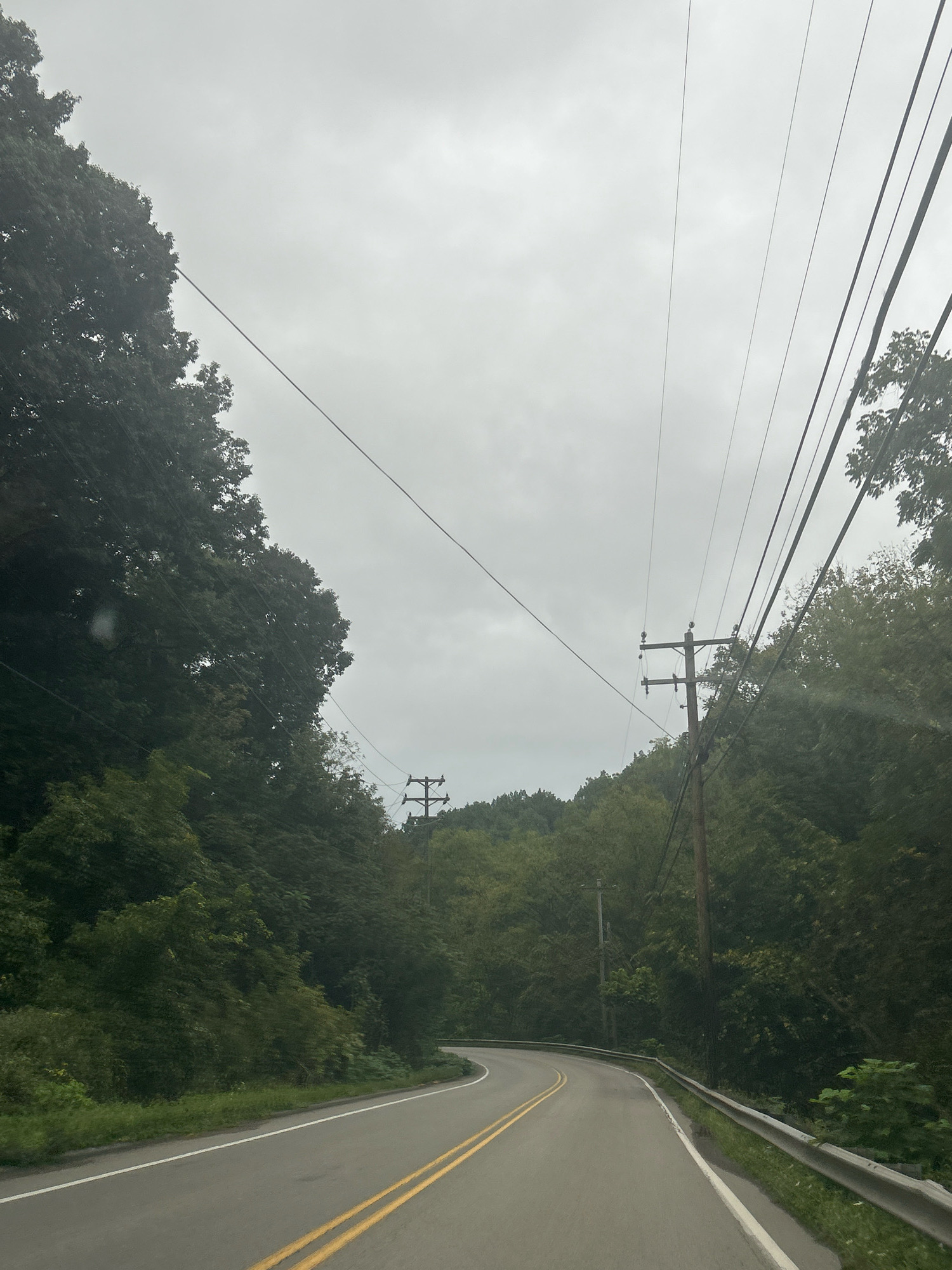 The image captures a paved road curving to the right, bordered by a metal guardrail and dense green foliage. Overhead, power lines stretch across a cloudy sky, supported by wooden utility poles. One pole is clearly visible on the right side of the road, while another is partially obscured in the distance on the left. The road has a white line on the right edge and double yellow lines in the center, indicating it is a two-way street. The trees are lush and green, suggesting a rural or suburban environment, possibly a park or a wooded area. The overall impression is one of a slightly overcast day on a scenic drive, with signs of infrastructure present. This scene could be located in any number of wooded areas within or surrounding the city of Pittsburgh, United States of America, such as in Frick Park or along one of the many winding roads in the hilly terrain.