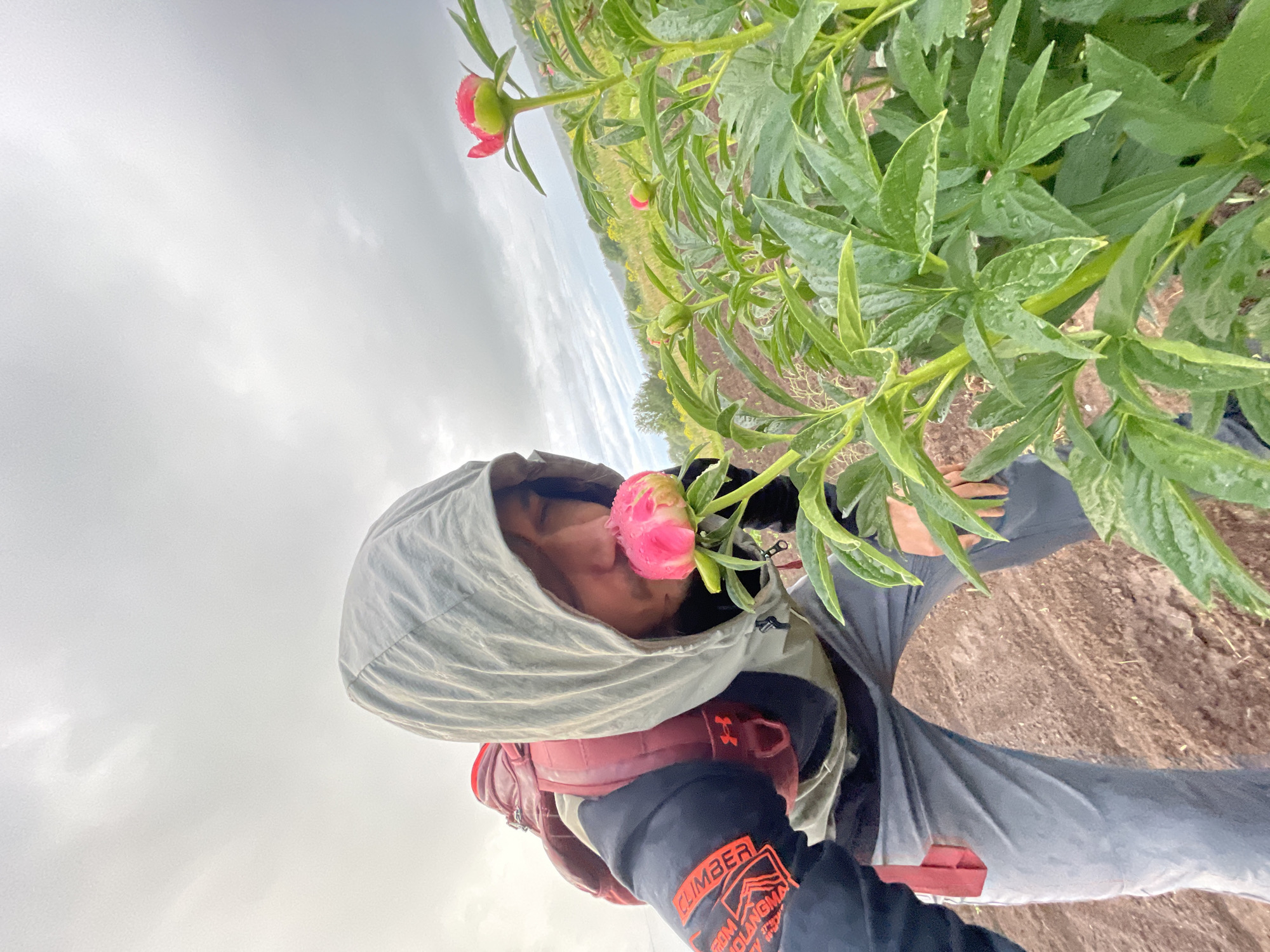 In the city of Unknown, Unknown, a male individual is captured at a low angle, crouching in what appears to be a cultivated field under a heavily overcast, grey sky. He is wearing a light grey hooded jacket with the hood up, a dark long-sleeved shirt visible underneath with orange "CLIMBER FROM NOLANGNA" text and an "UNDER ARMOUR" logo, and grey pants. A red backpack is visible on his back. The individual is leaning forward, with his eyes closed or mostly closed, inhaling the scent of a vibrant pink peony bud. The peony bud is partially open, featuring intense pink petals and green sepals, and displays numerous water droplets on its surface, as do its broad, dark green leaves. The immediate foreground shows tilled brown earth. The midground features rows of similar peony plants with multiple green and developing pink buds, all appearing wet. The background reveals a distant landscape of green fields, some interspersed with yellow wildflowers, and blurred hills beneath the diffuse light of the cloudy sky.