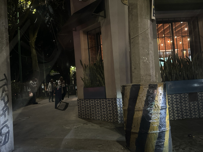 The image depicts a nighttime urban street scene in Mexico City, Mexico. In the immediate foreground, a light-colored concrete utility pole with faded dark graffiti, including the partial word "TRAFICO," is visible on the left. To the right, a concrete-filled metal barrel, painted with alternating black and yellow diagonal stripes, serves as a bollard. It is positioned in front of a substantial, octagonal concrete utility pole.
The midground features the facade of a building, likely a commercial establishment. Its lower section is adorned with a pattern of blue and white decorative tiles. Above these, large windows with dark frames and vertical bars reveal an interior lit by warm string lights, illuminating a visible wooden ceiling structure. Below the windows, rectangular planters hold numerous tall, dark green snake plants (Sansevieria trifasciata).
Further down the sidewalk to the left, several human figures are discernible under ambient light. One individual wears a light-colored hooded garment and appears to be standing. Other figures are walking away from the viewer or standing further along the pavement. The ground surface is dark, worn concrete.
The background shows dark silhouettes of trees against a black night sky, with faint glows from distant artificial light sources. Multiple utility wires are visible against the dark sky. The scene is dimly lit, with primary illumination originating from the building's interior and distant streetlights.