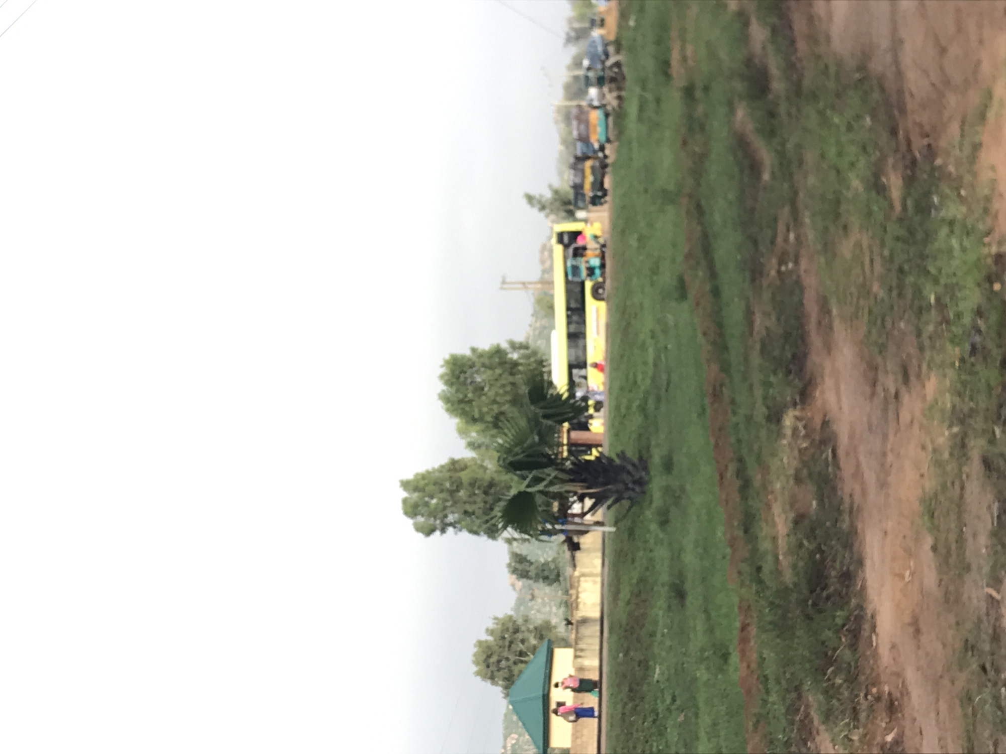 The image, oriented vertically but depicting a horizontal landscape, captures an outdoor scene in what appears to be a semi-urban or rural area, consistent with Unguwar Saya, Nigeria.
In the foreground, on the right side, there's a wide strip of green grass, sparsely covered with vegetation, and a parallel dirt path or track. To the left of this grassy area, a paved road is visible in the mid-ground, where a yellow bus is prominently featured. The bus has people visible through its windows or near its entrance, suggesting it might be stopped. Further down the road, in the background, several other vehicles, including what look like auto-rickshaws (tuktuks) and possibly cars, are parked or moving slowly. Utility poles line the road.
Towards the lower left portion of the image, nestled among trees, there's a small building with a distinctive dark green, pyramidal roof. A few individuals are standing or walking near this structure, dressed in casual attire. The surrounding area also features several green trees, some with broad leaves and others resembling palm trees. Distant hills or buildings are faintly visible through the hazy sky in the far background.
The sky is largely overcast and bright, suggesting either an overcast day or early morning/late afternoon with diffuse light. No specific activity beyond general transportation and people gathering is clearly discernible. There is no visible text. The overall impression is one of a bustling local area, possibly a bus stop or market roadside, under a muted sky.