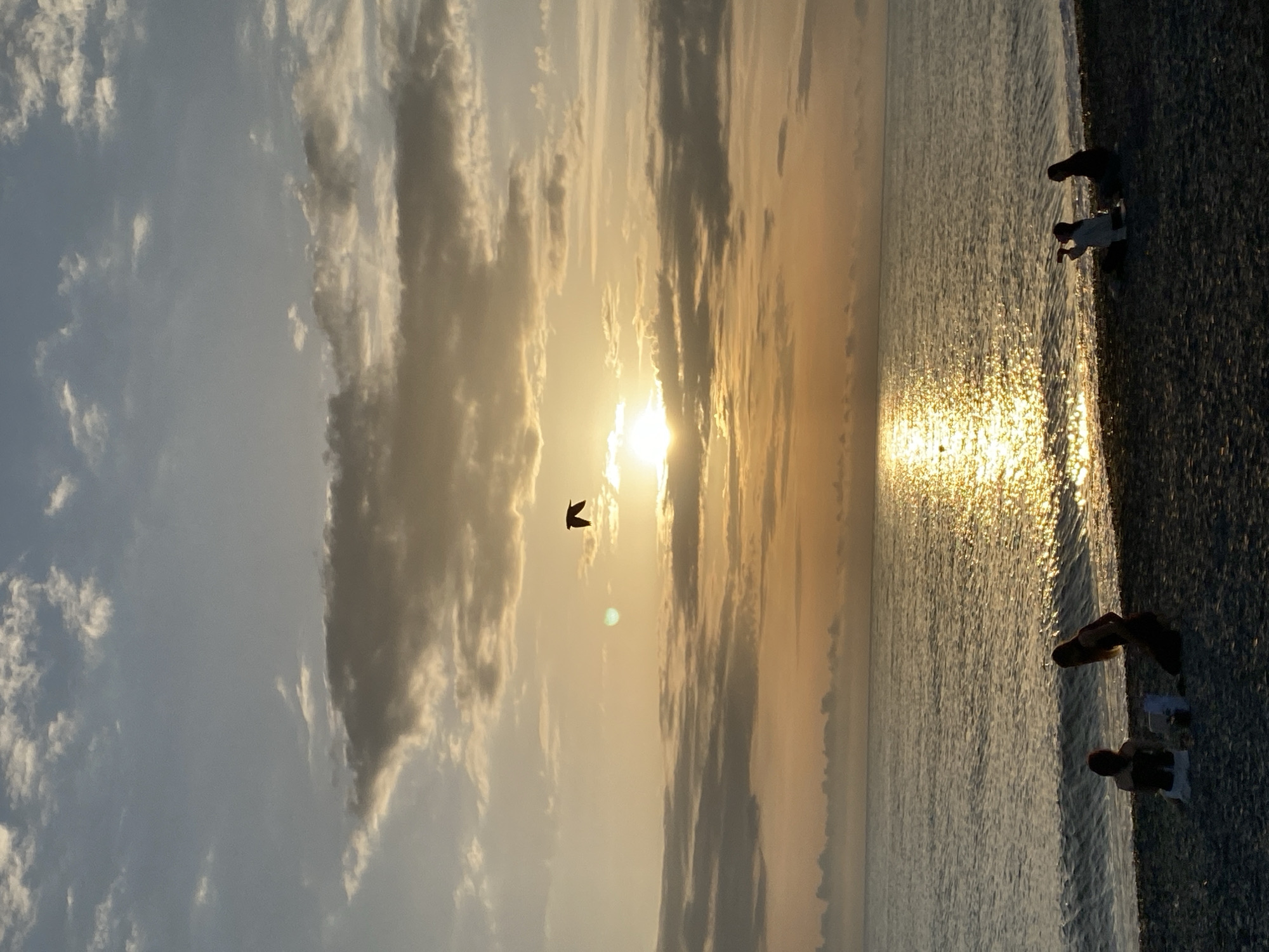 The photograph depicts a beach scene at sunset in Sochi, Russia. The sun, obscured by clouds, casts a golden reflection on the water. A bird flies in silhouette against the sky. On the pebble beach, two people are near the water's edge, seemingly engaged in collecting pebbles. Another pair of people are further down the beach. The sky is filled with clouds, some with dark outlines. The overall tone of the image is warm and serene.