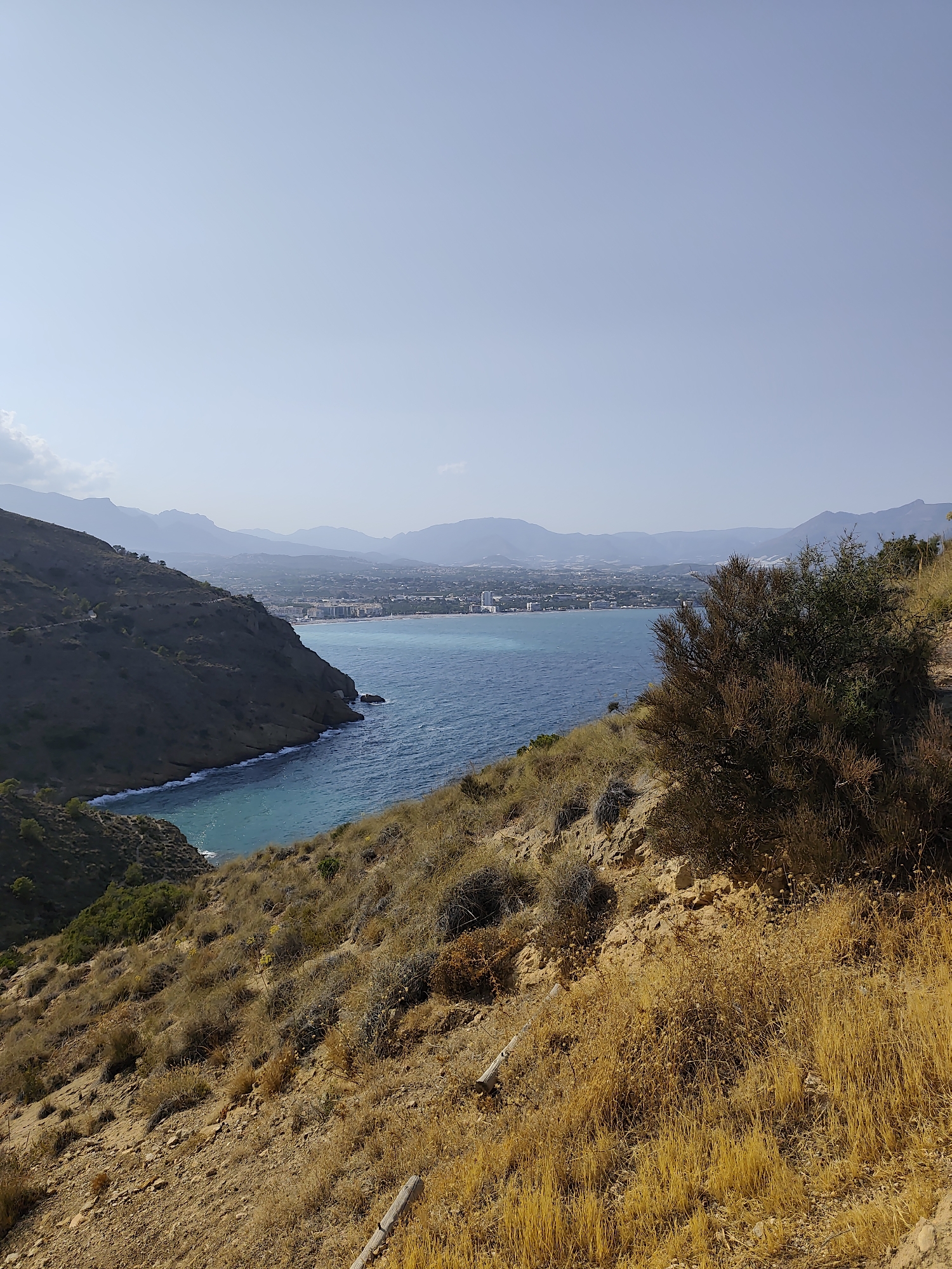 This is an outdoor, eye-level, wide shot photograph taken on a clear, sunny day. The image showcases a scenic coastal landscape with mountains in the background. The foreground features a dry, scrub-covered hillside with predominantly brown and yellow vegetation. A dense, bushy shrub with dry branches occupies the right side of the foreground. The middle ground reveals a bay with bright turquoise water. Along the bay's edge, a town with white buildings and a long beach is visible, backed by more distant, hazy mountains. A dark, rugged hill slopes down to the water on the left side of the image, with a winding path visible on its surface. The sky is a pale blue and largely cloudless. The location is the coastline of l'Alfàs del Pi, Spain, offering a view towards the town and the Mediterranean Sea.