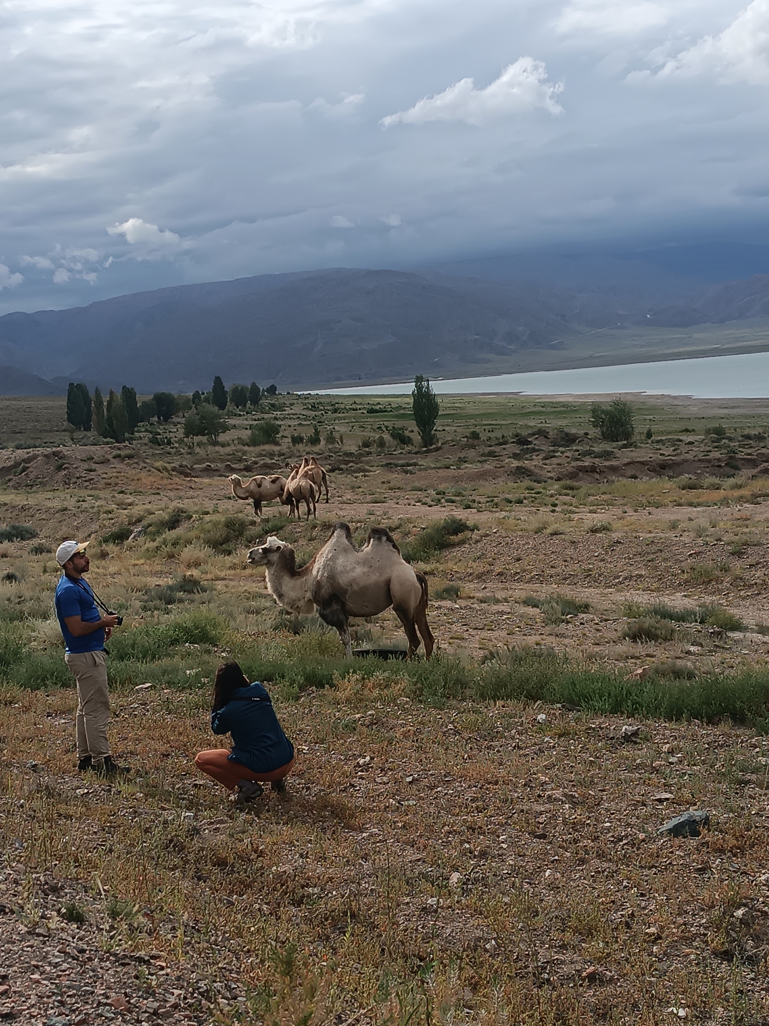 In the city of Sasyk-Bulak, Kyrgyzstan, a man in a blue shirt and beige pants stands in the foreground, holding a camera, looking to his left. To his right and slightly in front, a woman in a dark blue jacket and orange pants is crouched down, facing away from the camera. Several camels are scattered across a dry, grassy landscape. In the background, a body of water, likely a lake, is visible, with mountains beyond it under a cloudy sky. The terrain is rocky and uneven, with sparse vegetation.